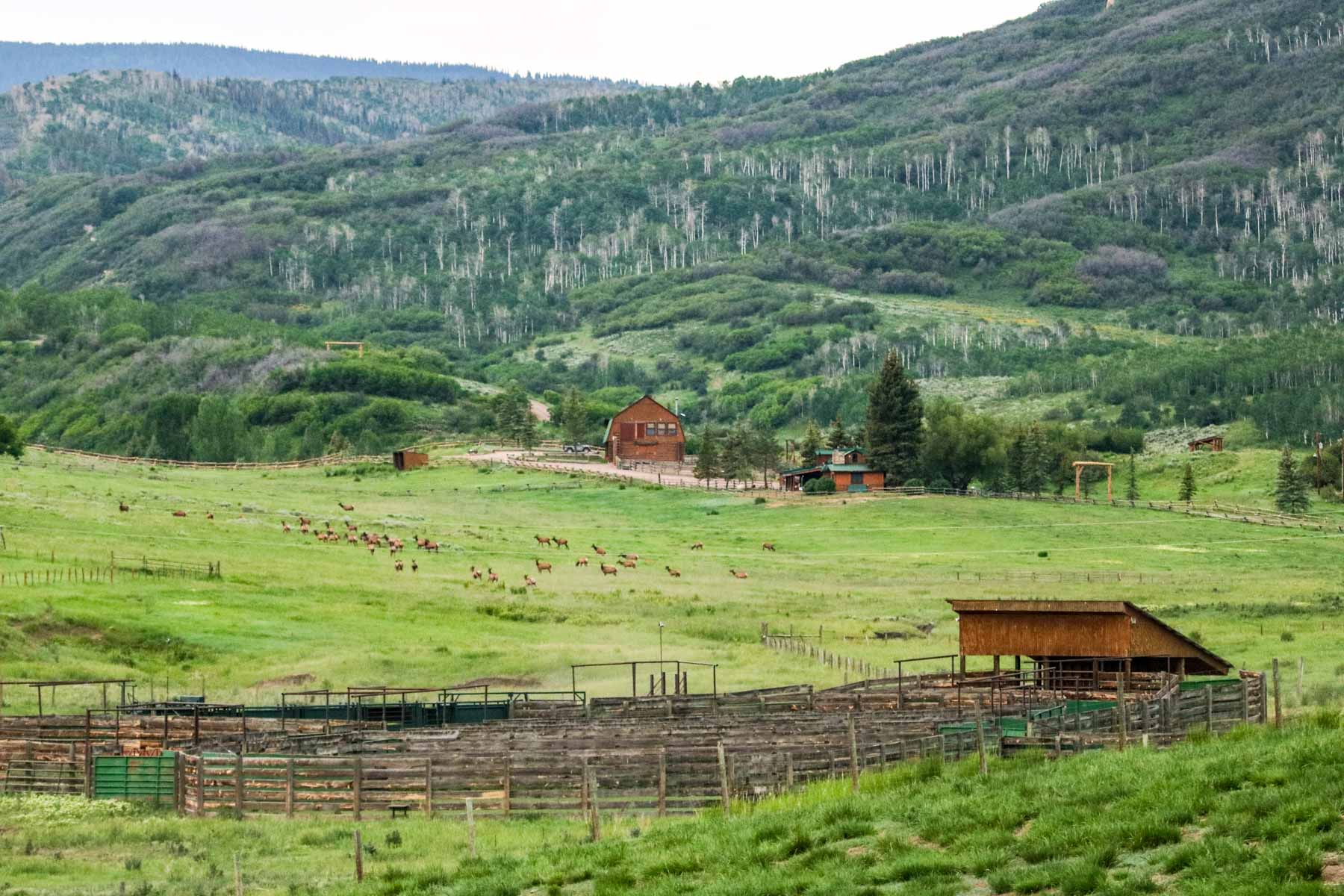 Middle Creek Ranch property picture 75 of 97