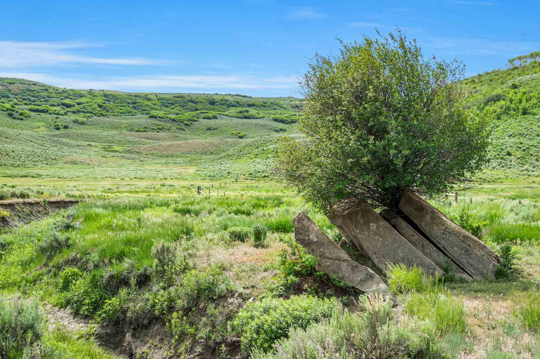 Middle Creek Ranch property picture 96 of 97