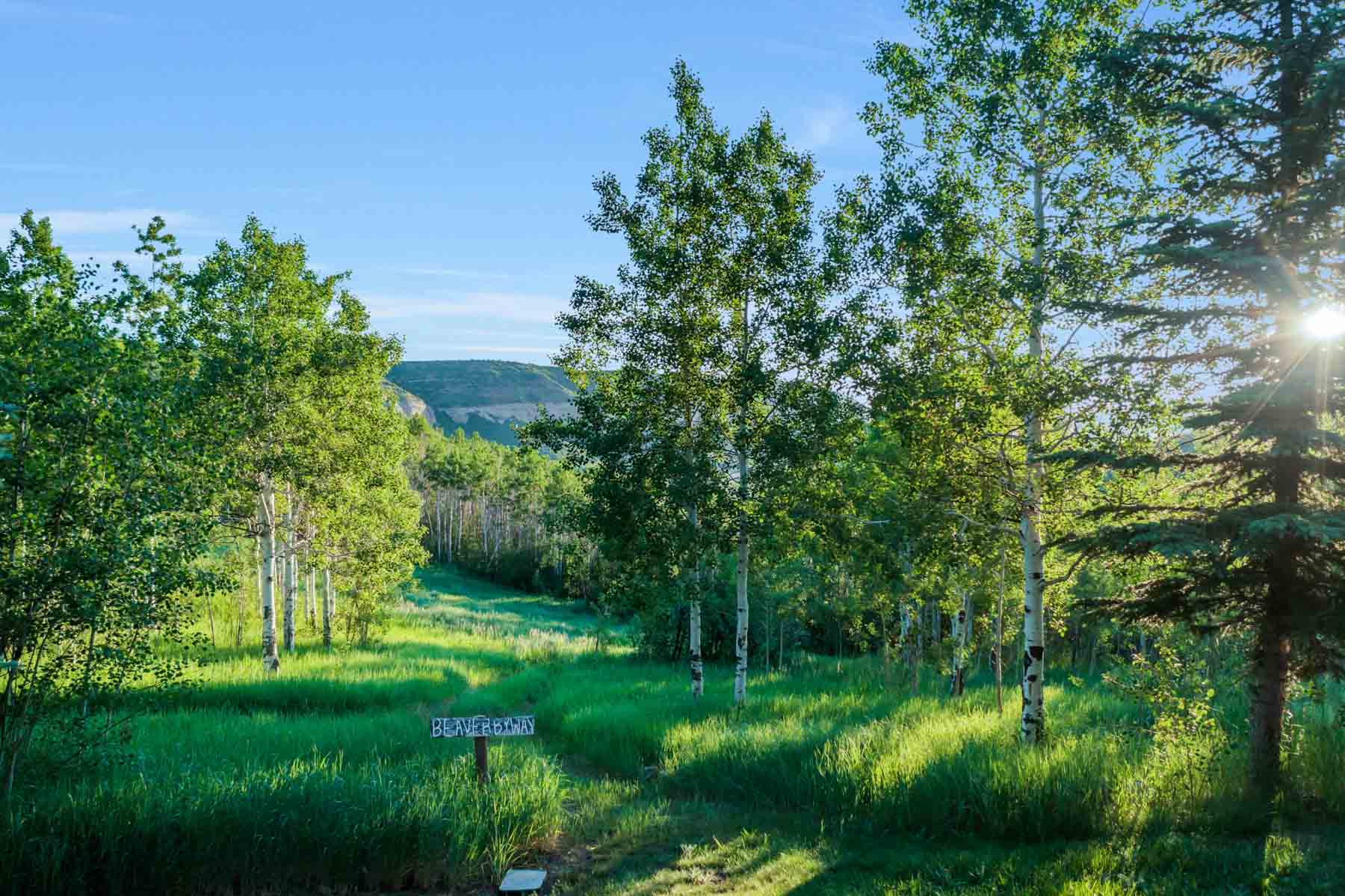 Middle Creek Ranch property picture 33 of 97