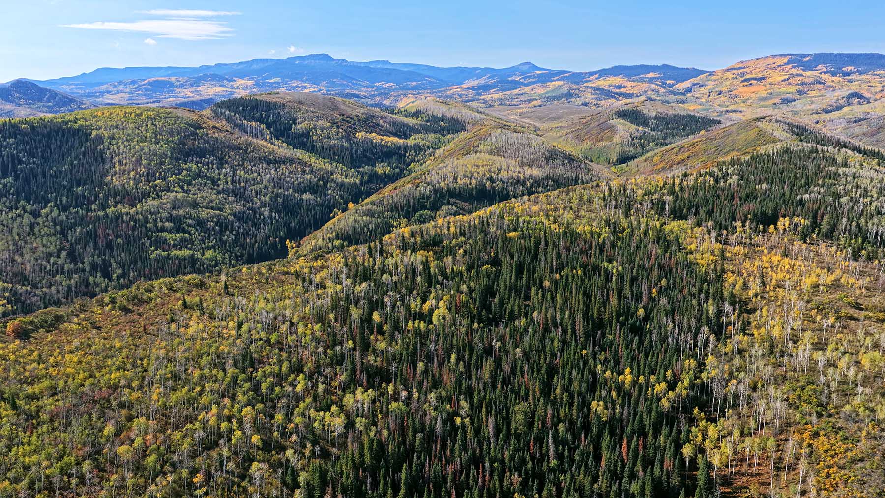 Middle Creek Ranch property picture 100 of 111