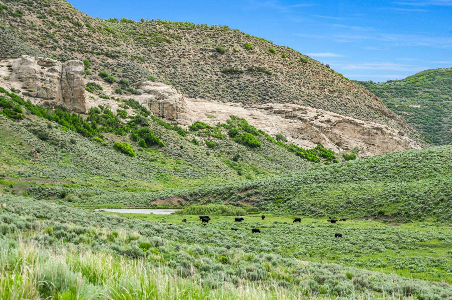 Middle Creek Ranch property picture 11 of 97