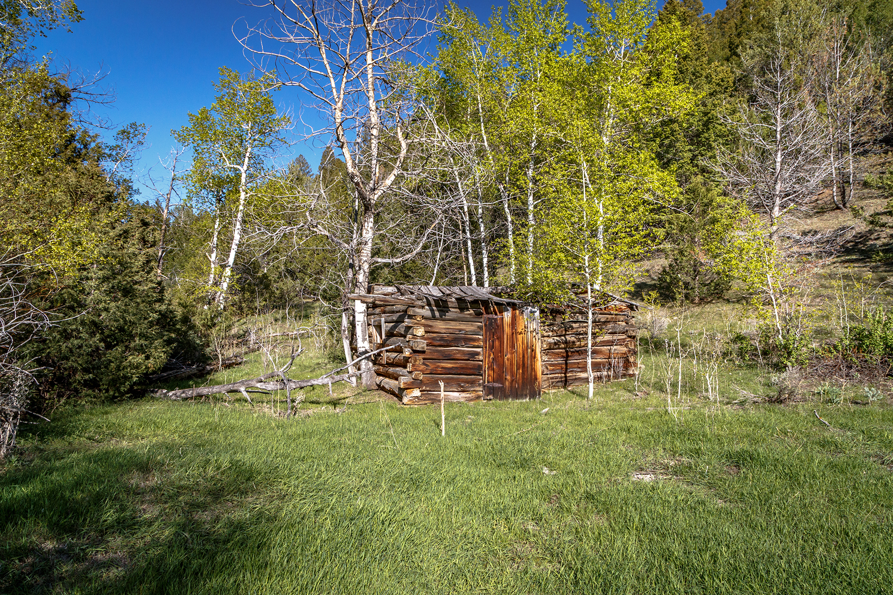 Axes Canyon Hunting Getaway property picture 21 of 28