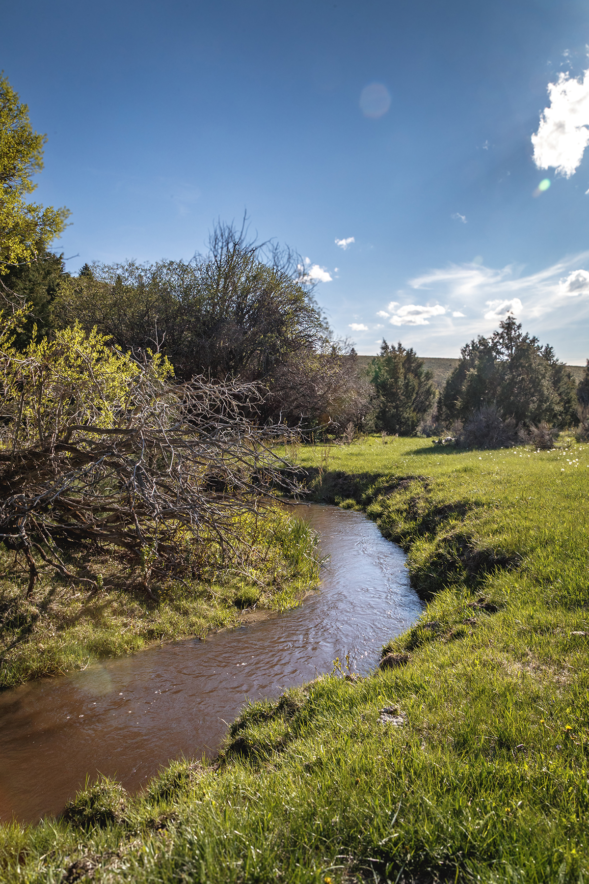 Axes Canyon Hunting Getaway property picture 24 of 28