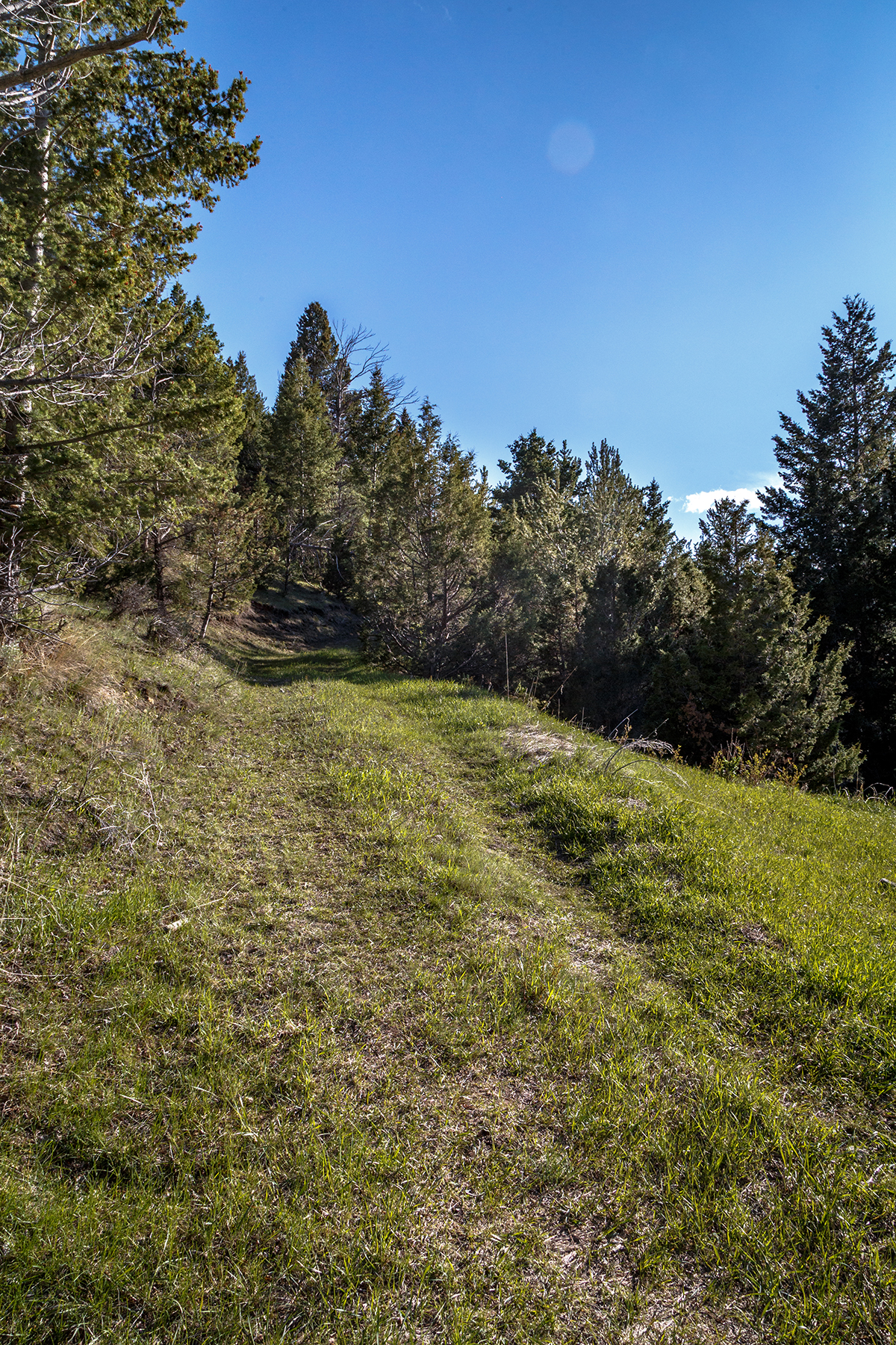 Axes Canyon Hunting Getaway property picture 23 of 28