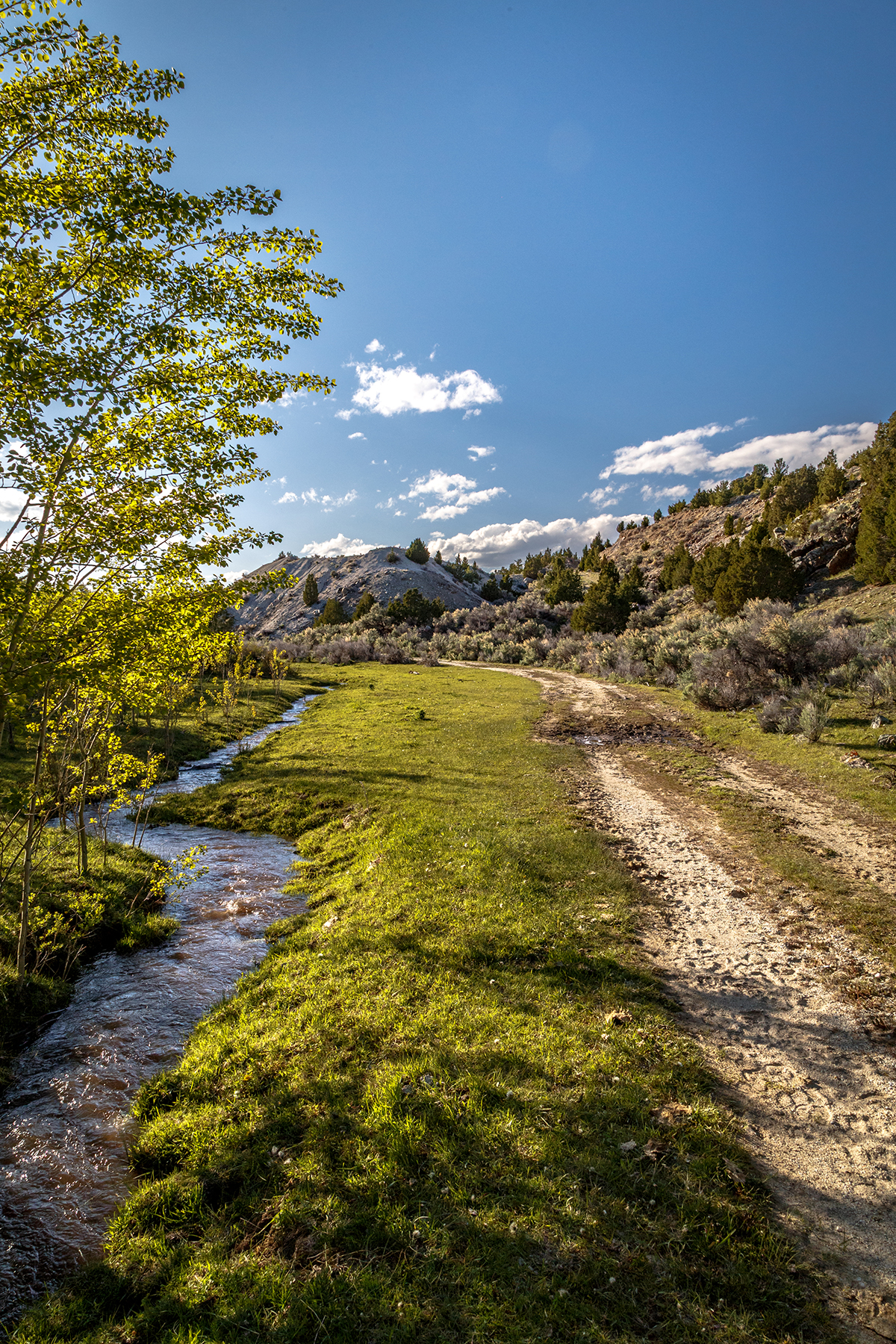 Axes Canyon Hunting Getaway property picture 17 of 28