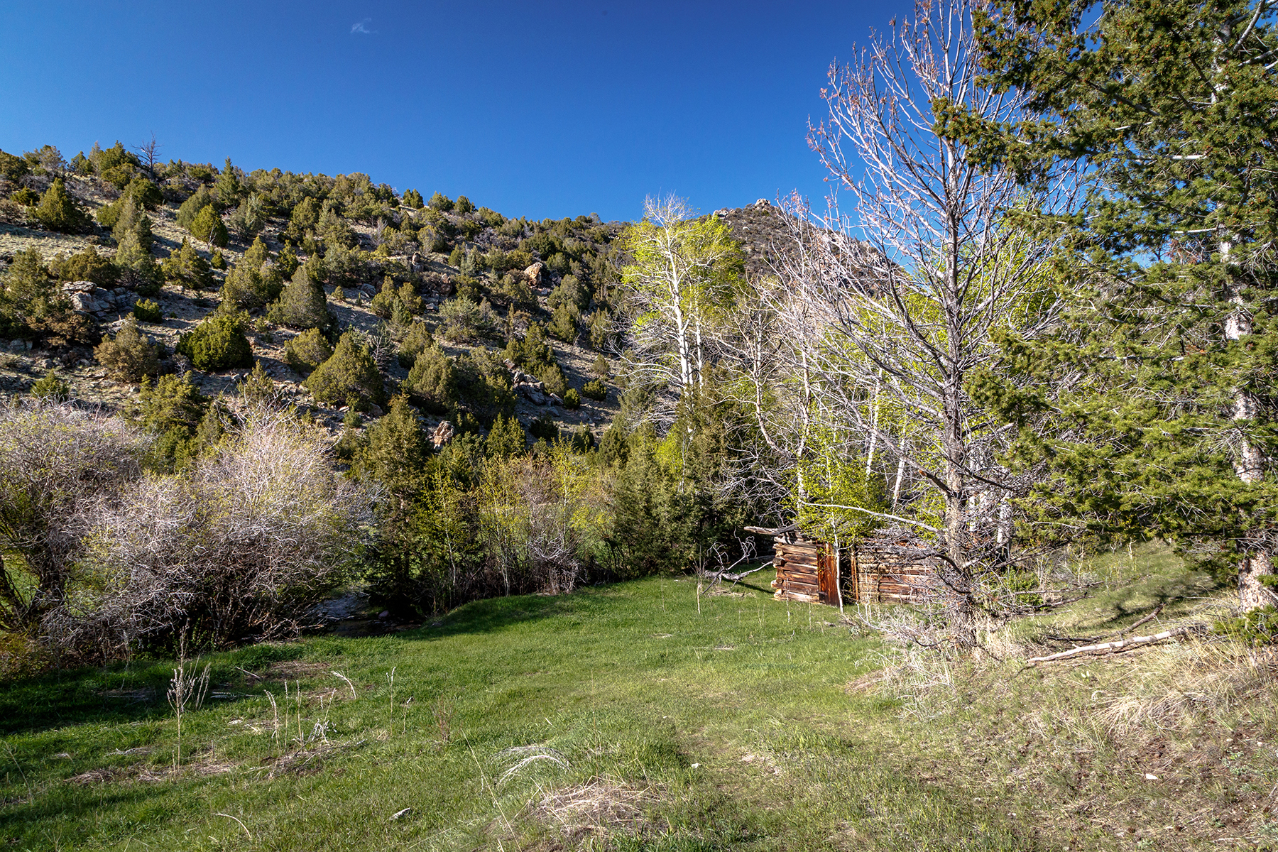 Axes Canyon Hunting Getaway property picture 25 of 28