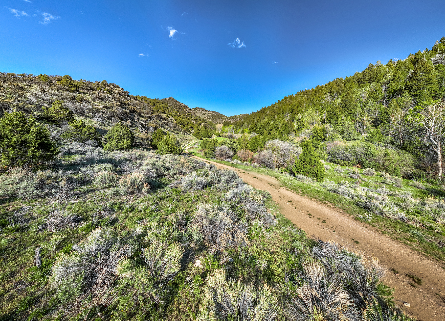 Axes Canyon Hunting Getaway property picture 12 of 28
