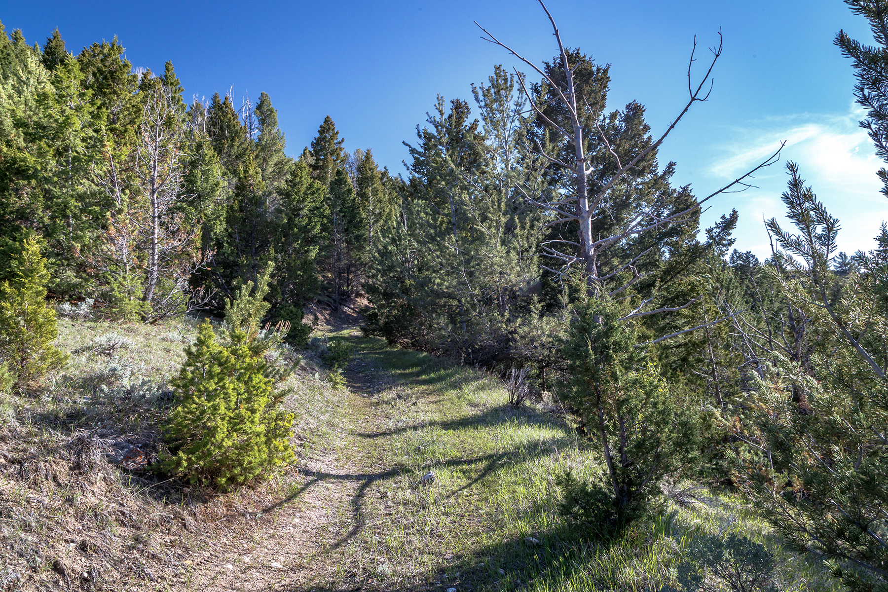 Axes Canyon Hunting Getaway property picture 22 of 28