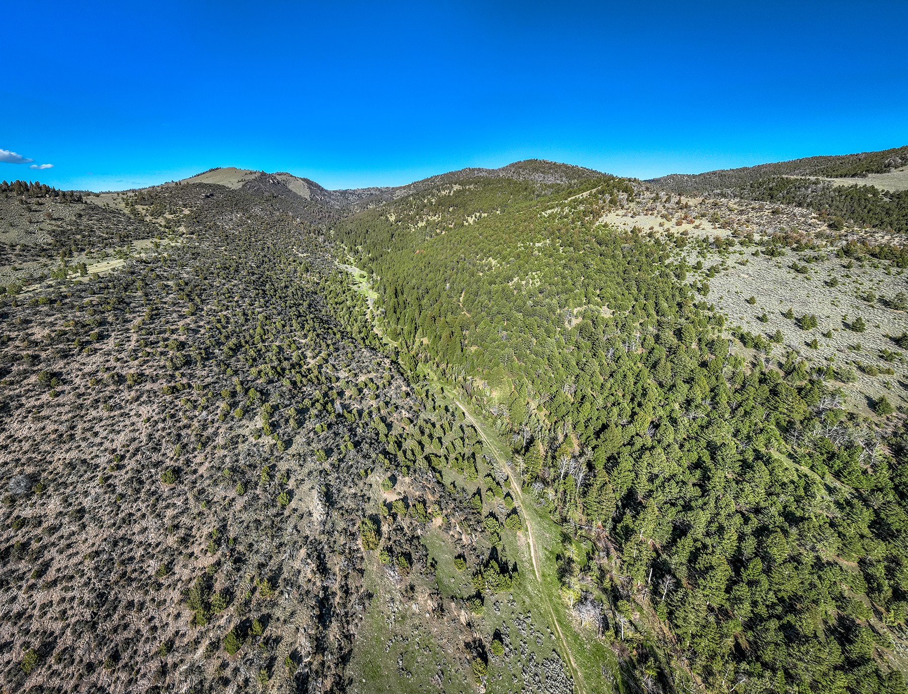 Axes Canyon Hunting Getaway property picture 18 of 28