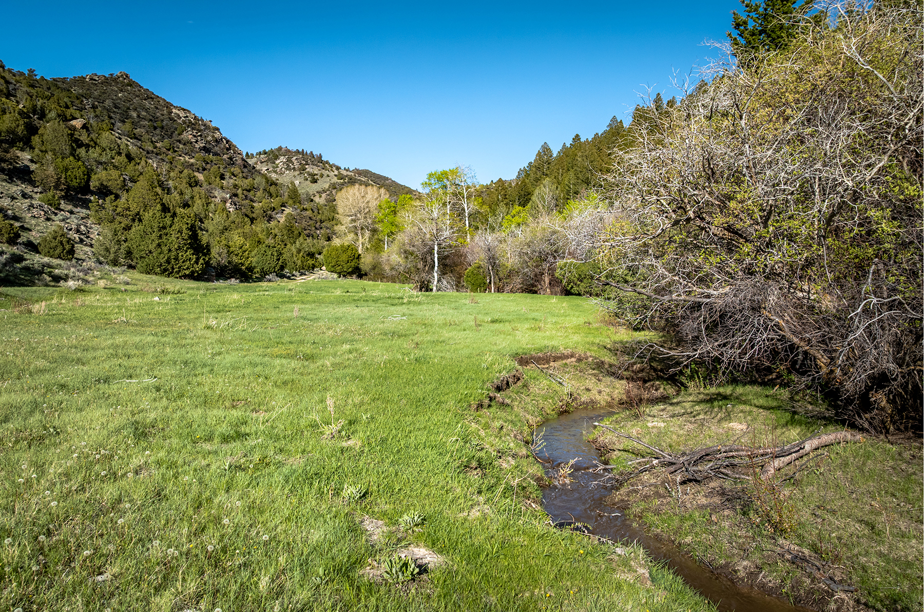 Axes Canyon Hunting Getaway property picture 4 of 28