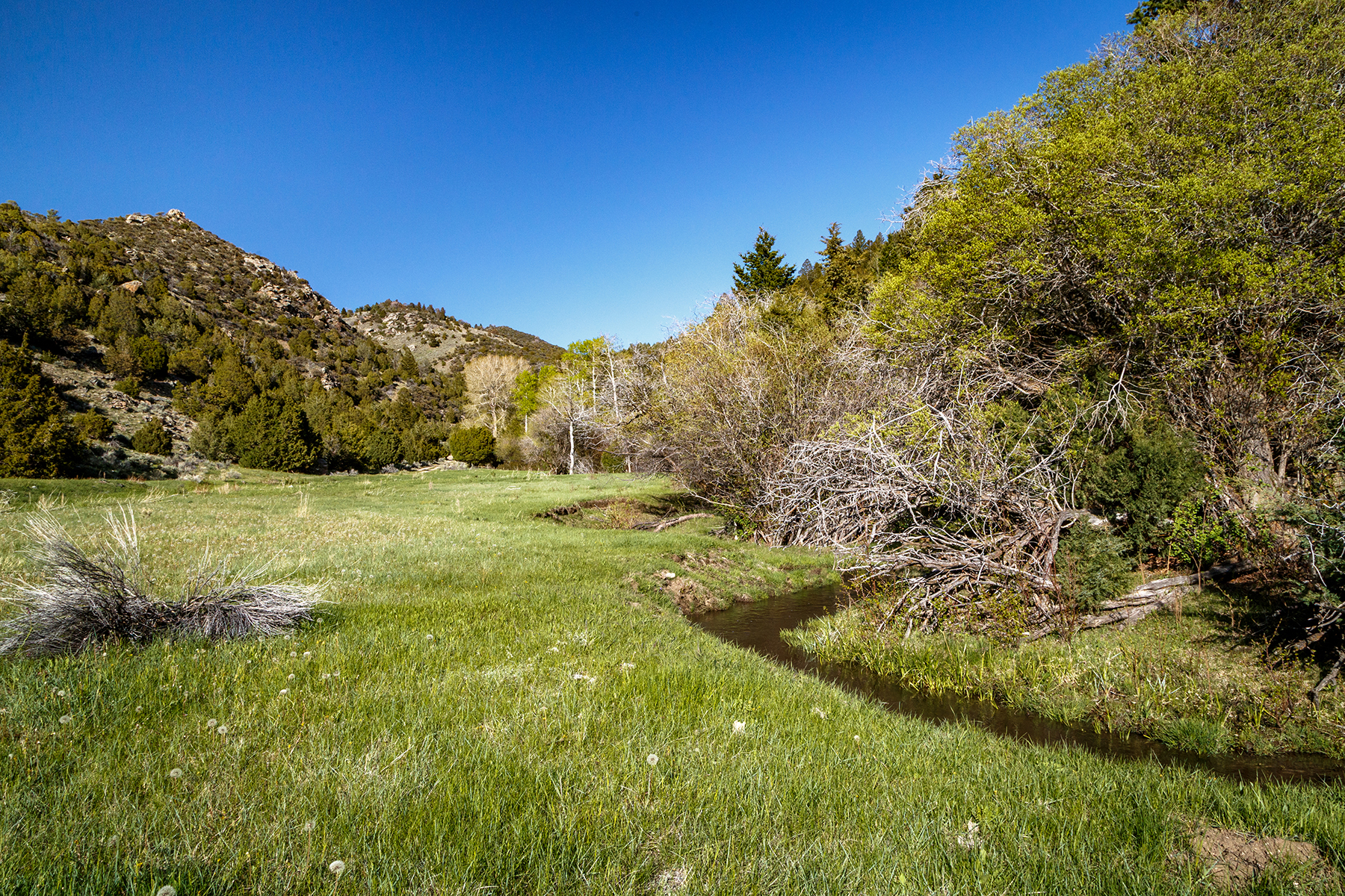 Axes Canyon Hunting Getaway property picture 20 of 28