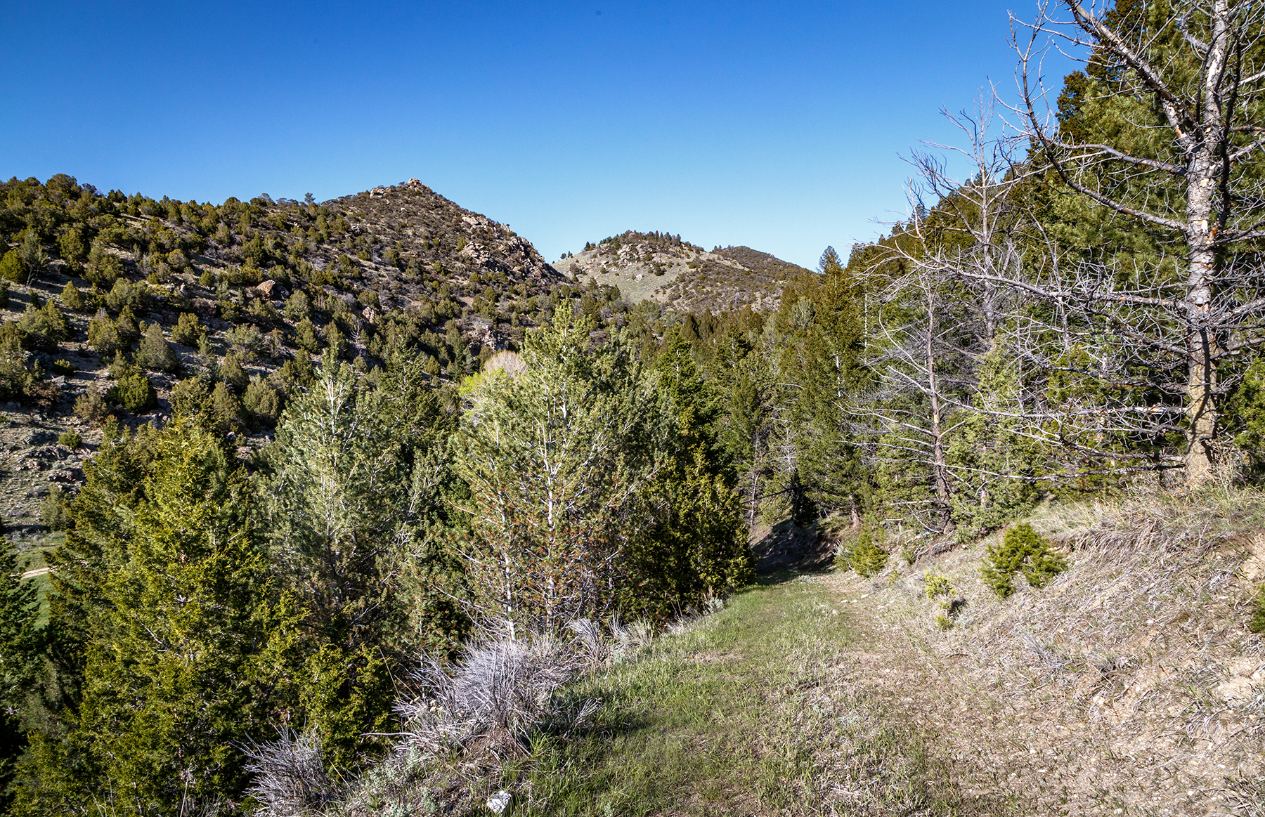 Axes Canyon Hunting Getaway property picture 16 of 28