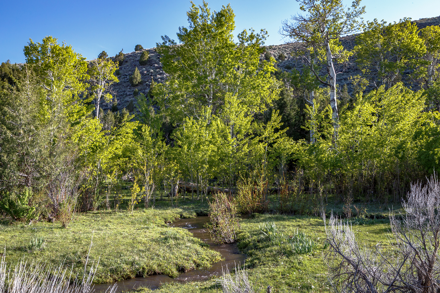 Axes Canyon Hunting Getaway property picture 14 of 28