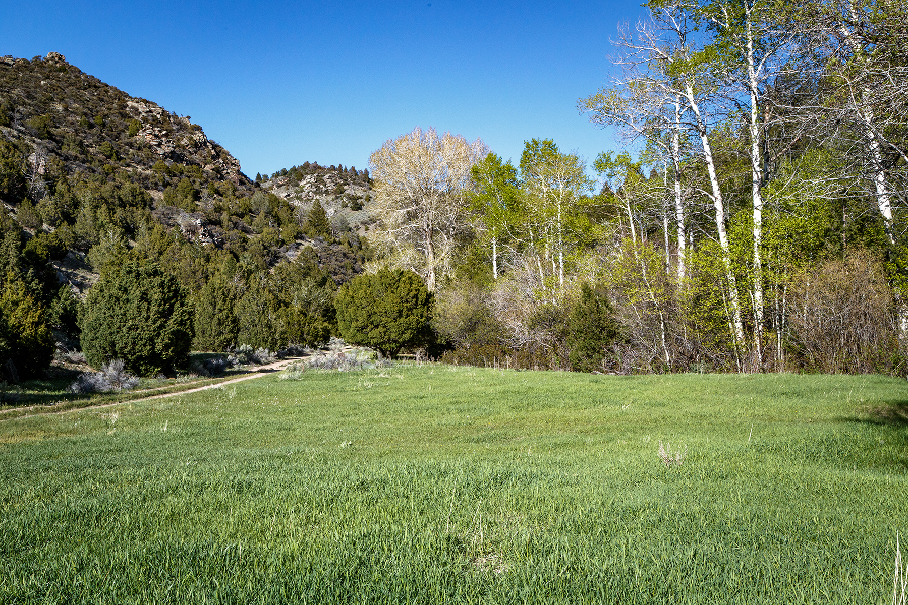 Axes Canyon Hunting Getaway property picture 8 of 28