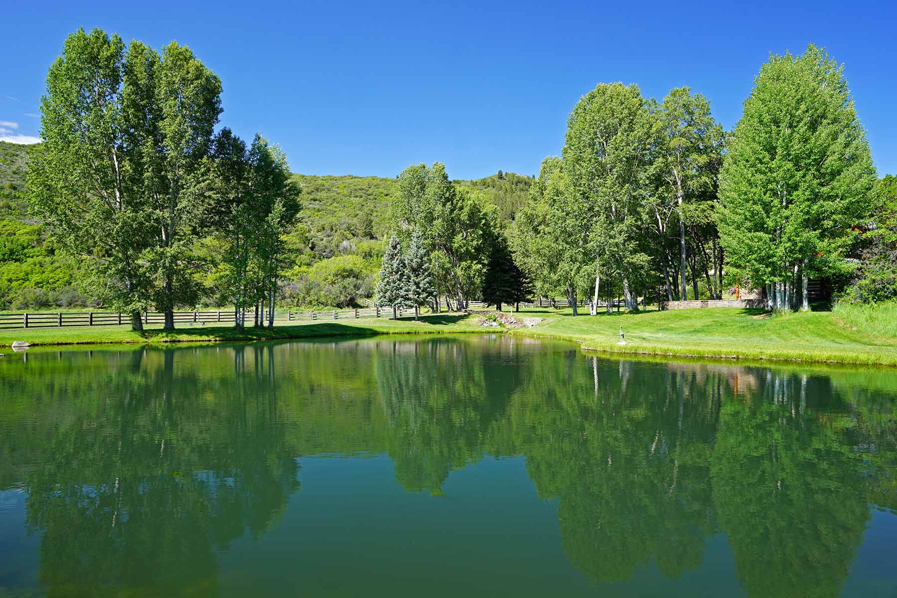 Ranch on Sweetwater property picture 20 of 88