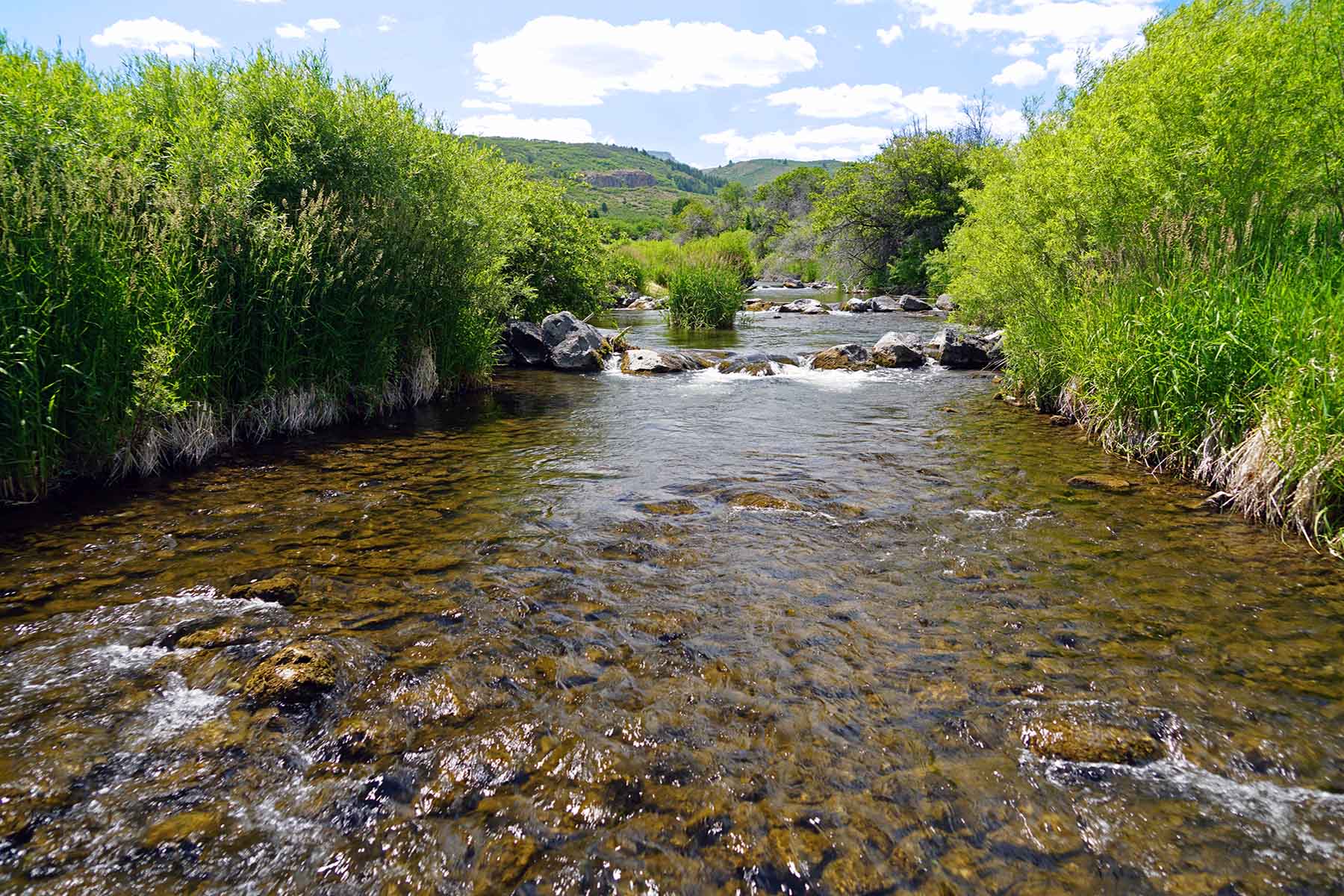 Ranch on Sweetwater property picture 34 of 88