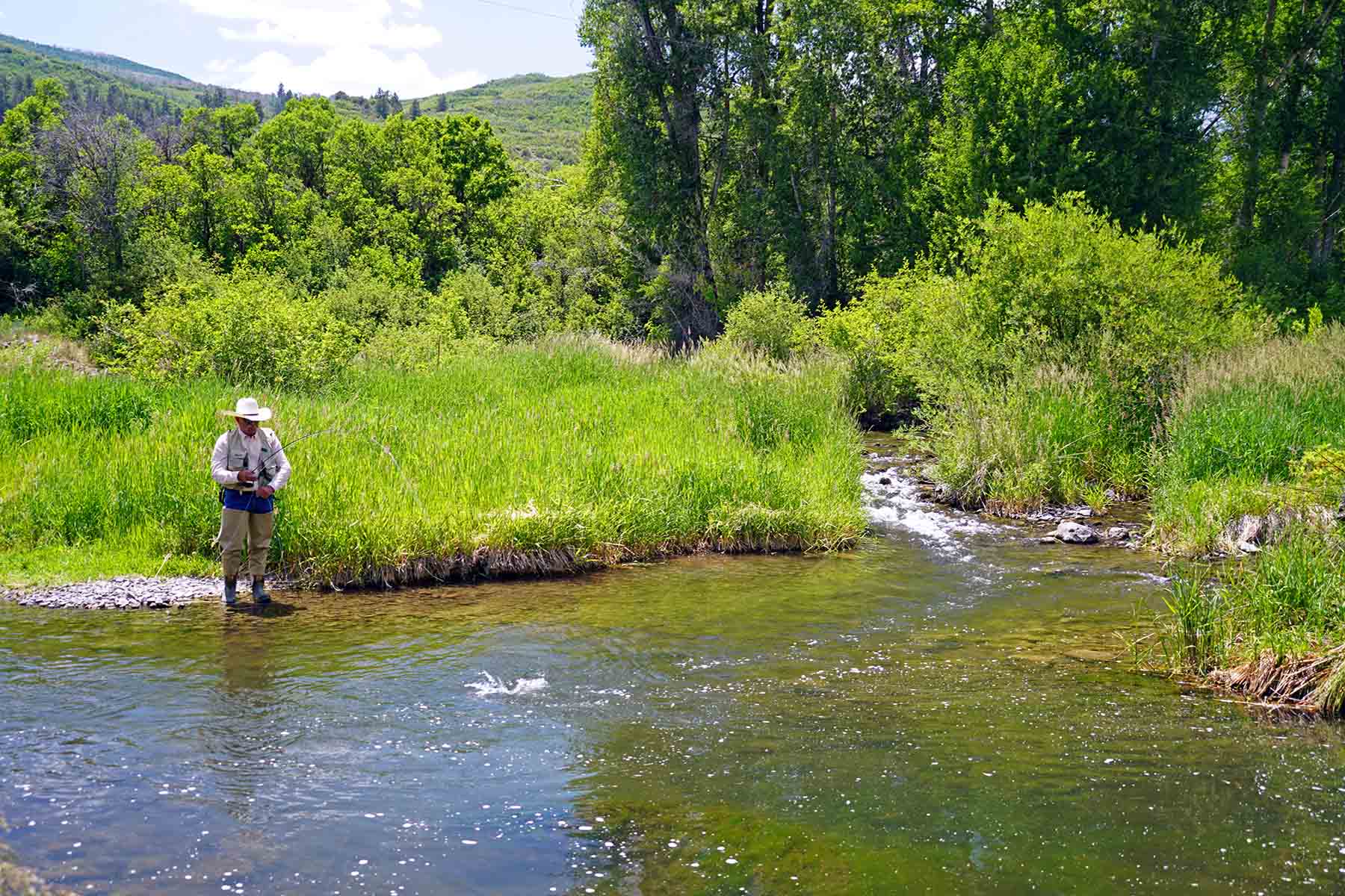 Ranch on Sweetwater property picture 31 of 88