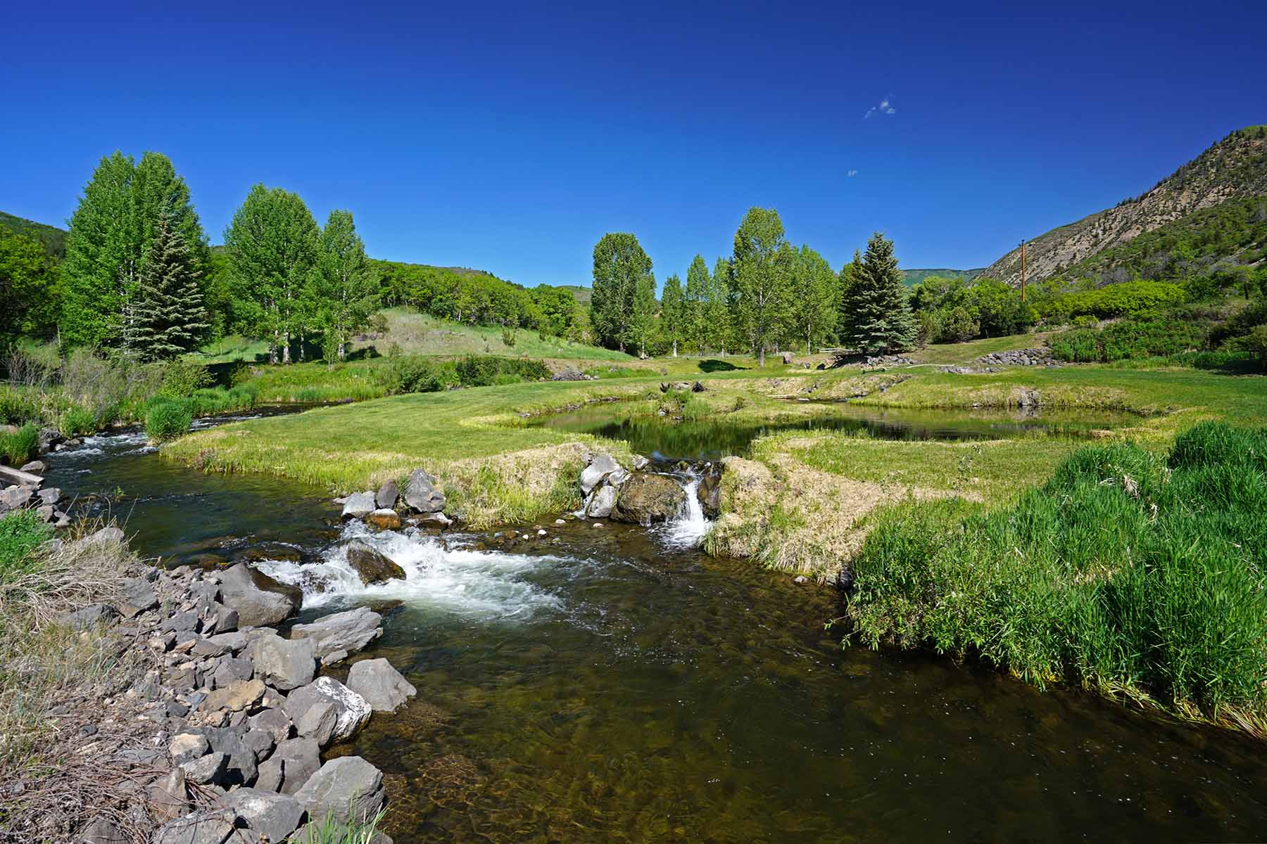 Ranch on Sweetwater property picture 15 of 88