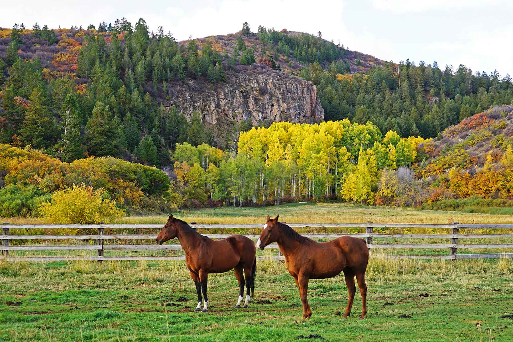 Ranch on Sweetwater property picture 39 of 88
