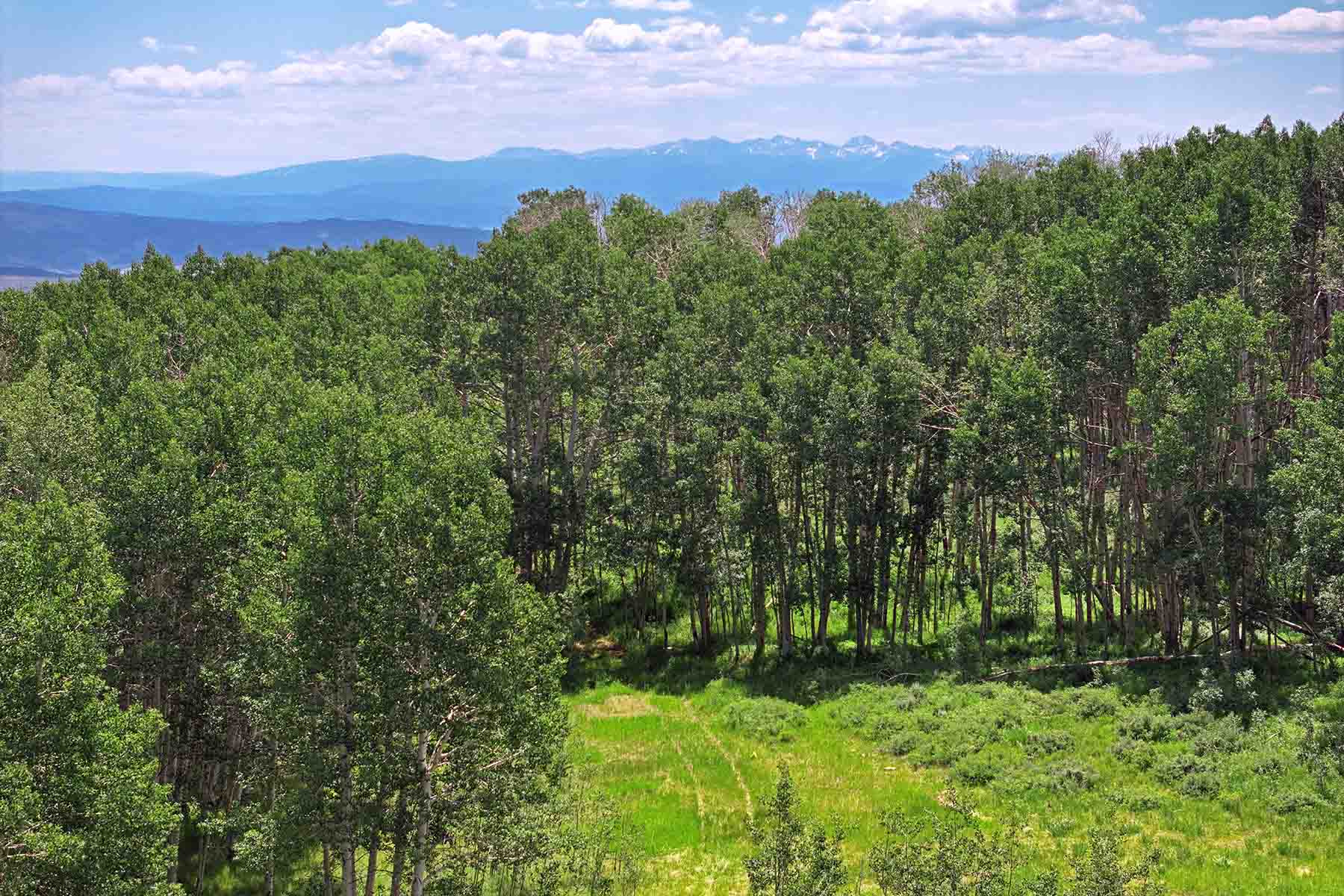 Ranch on Sweetwater property picture 35 of 88
