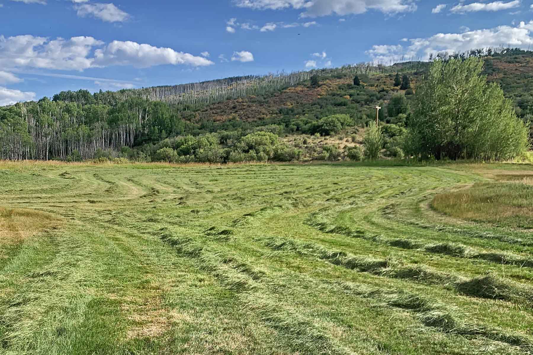 Ranch on Sweetwater property picture 80 of 88