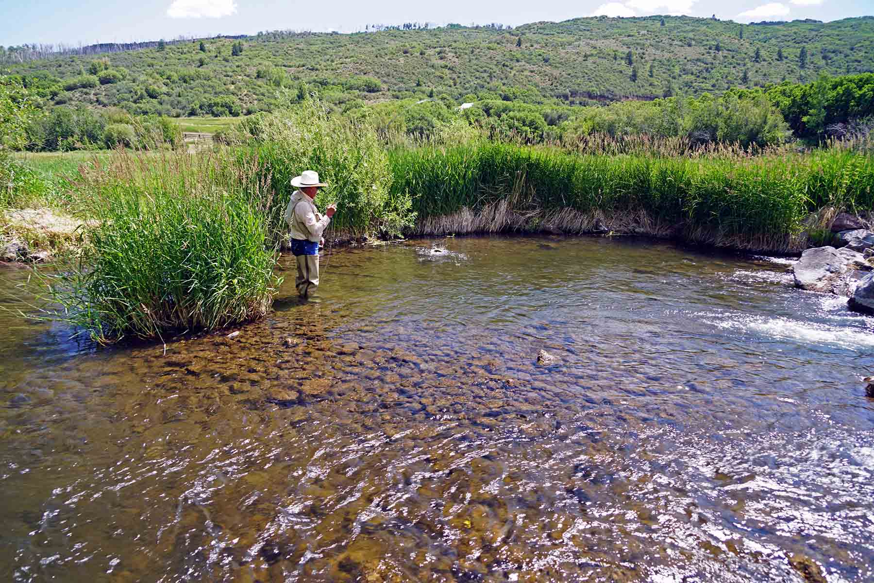 Ranch on Sweetwater property picture 74 of 88