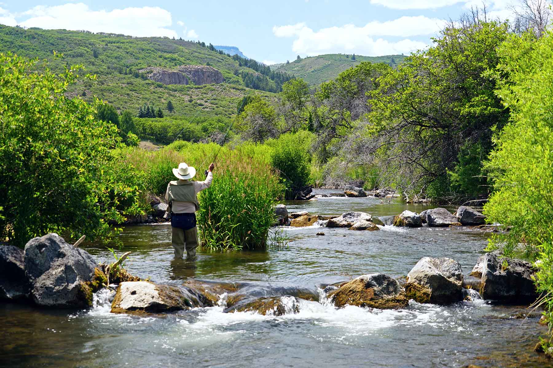 Ranch on Sweetwater property picture 84 of 88