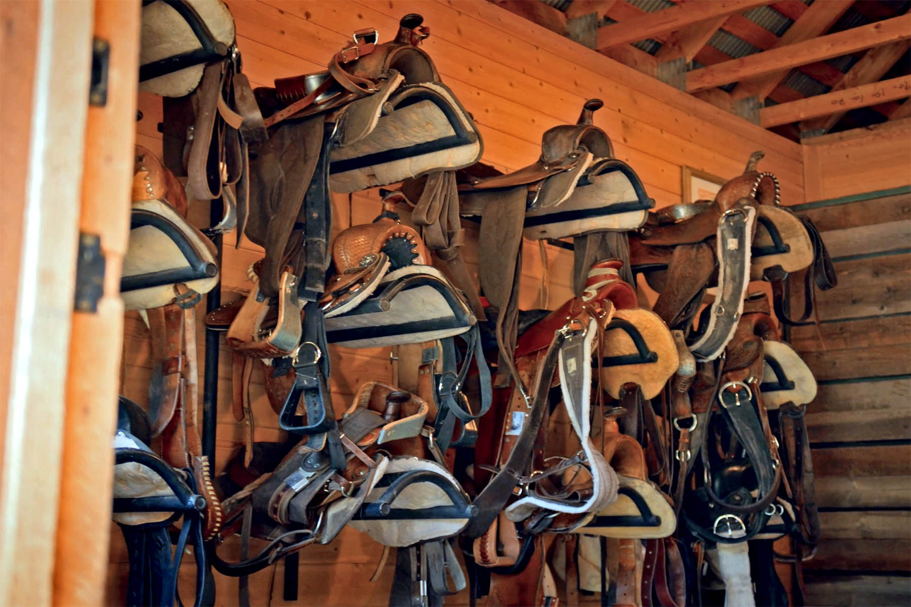 Ranch on Sweetwater property picture 67 of 88