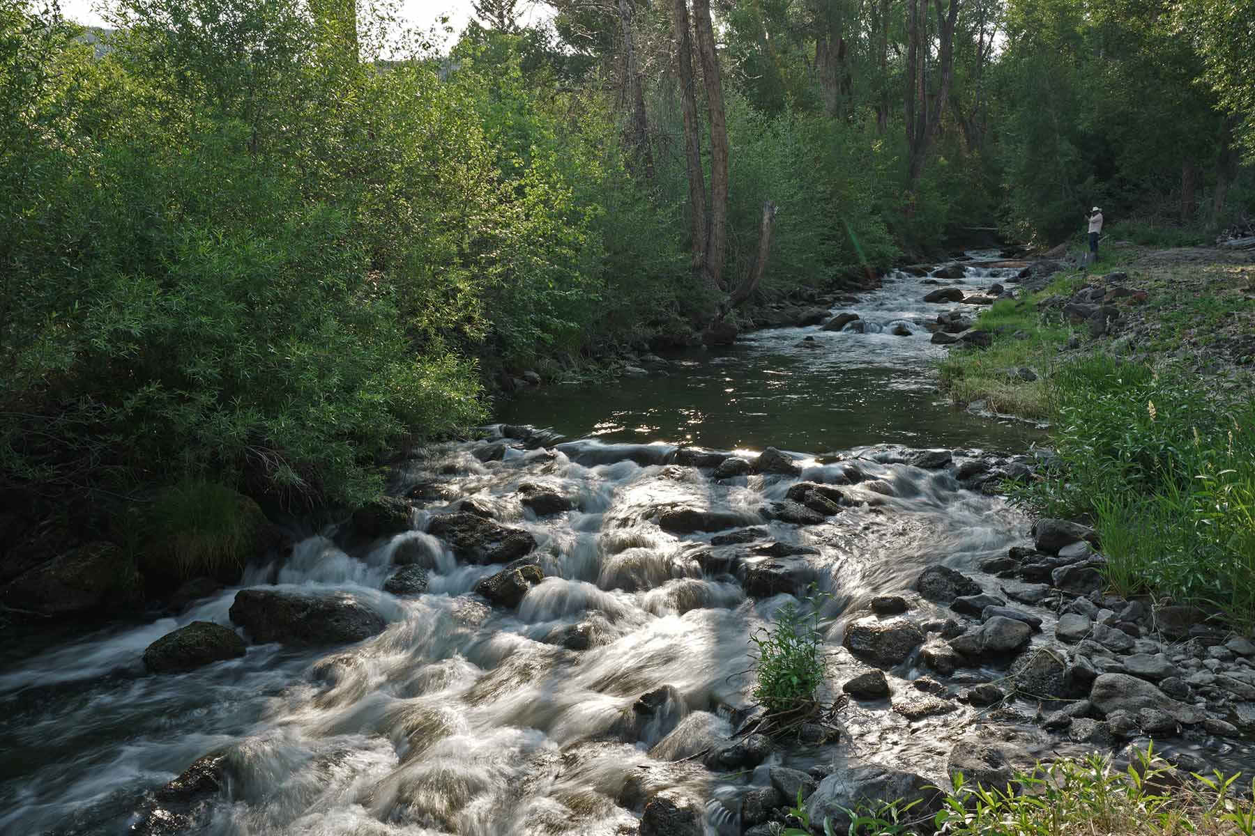 Ranch on Sweetwater property picture 37 of 88