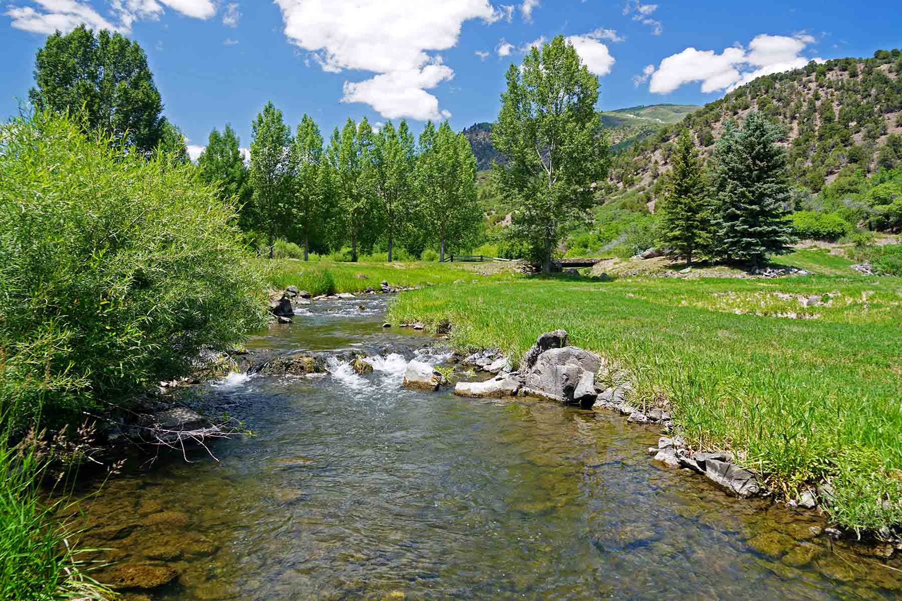 Ranch on Sweetwater property picture 17 of 88