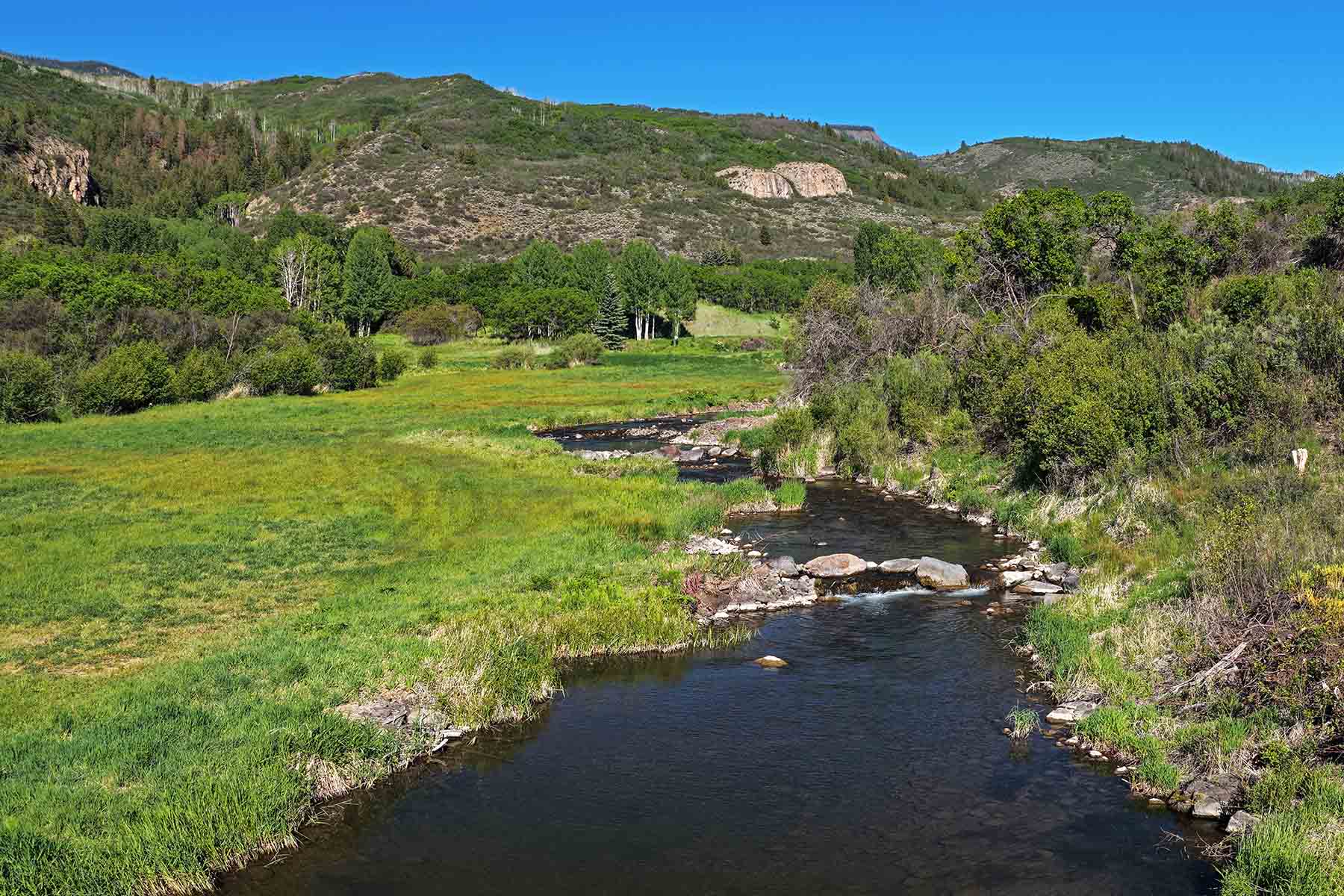 Ranch on Sweetwater property picture 44 of 102
