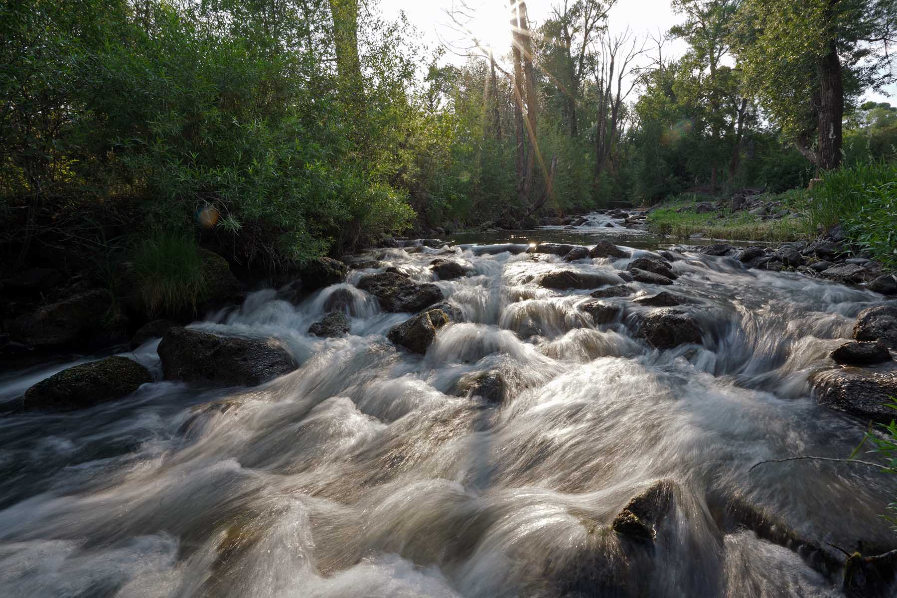 Ranch on Sweetwater property picture 23 of 88