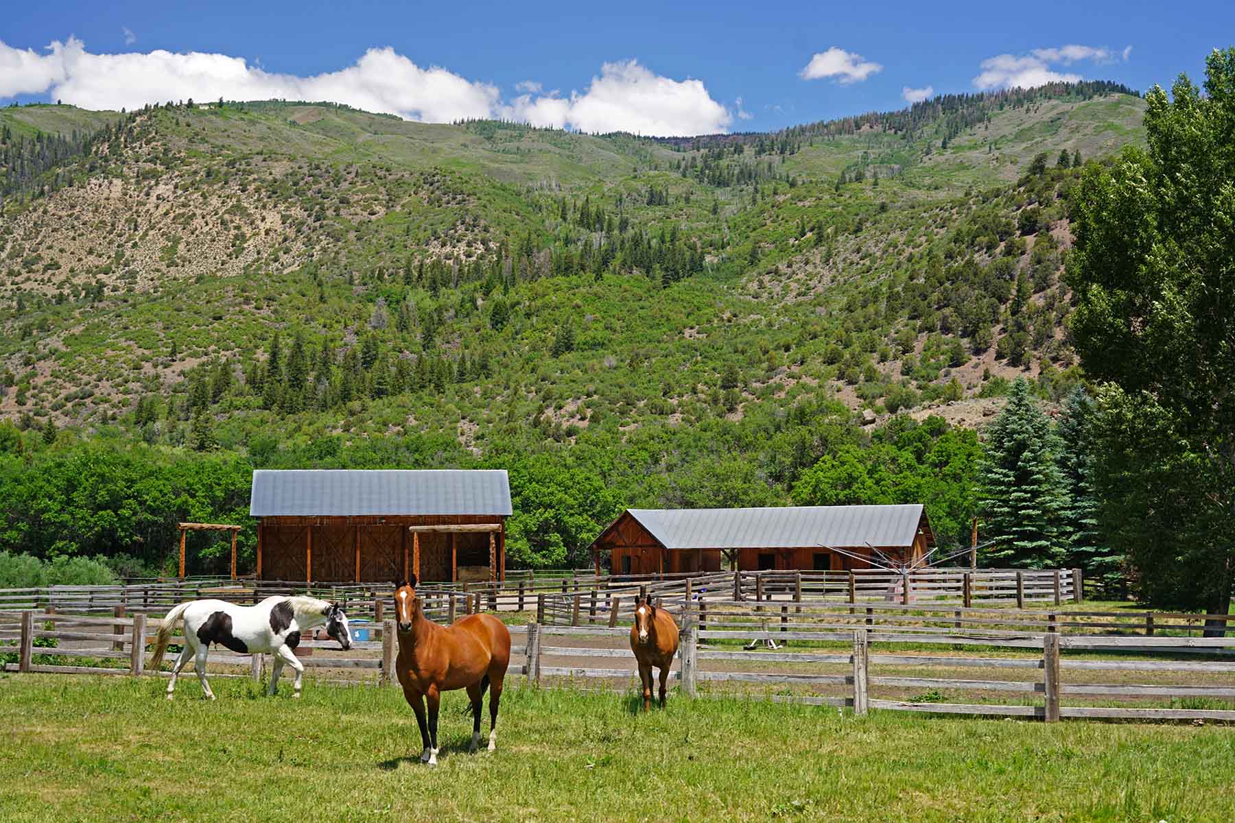 Ranch on Sweetwater property picture 24 of 88