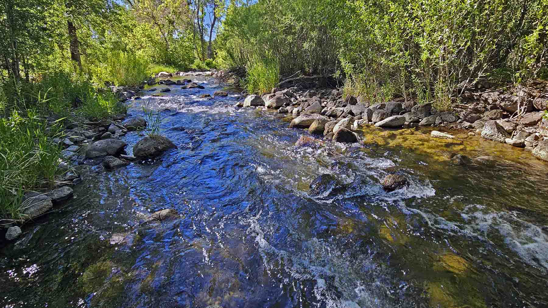 Ranch on Sweetwater property picture 4 of 102