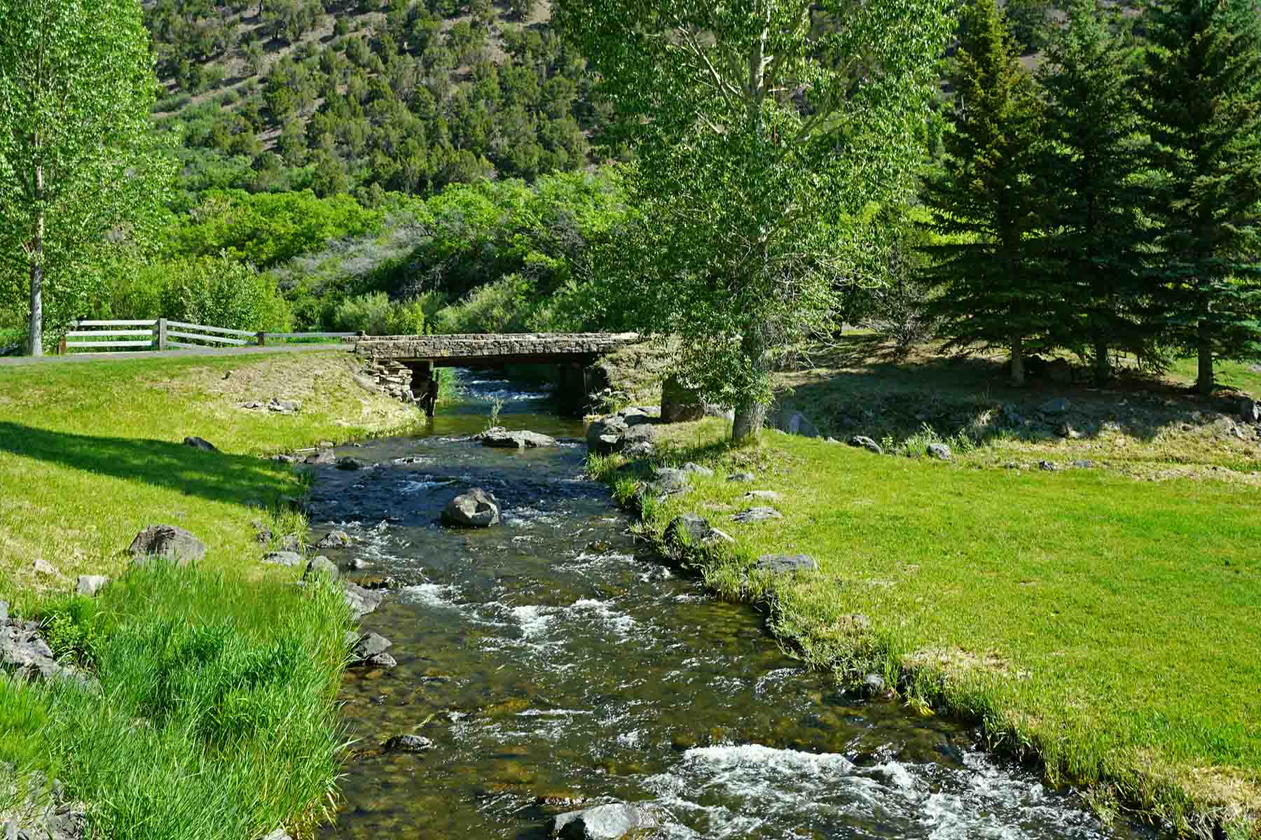 Ranch on Sweetwater property picture 8 of 88