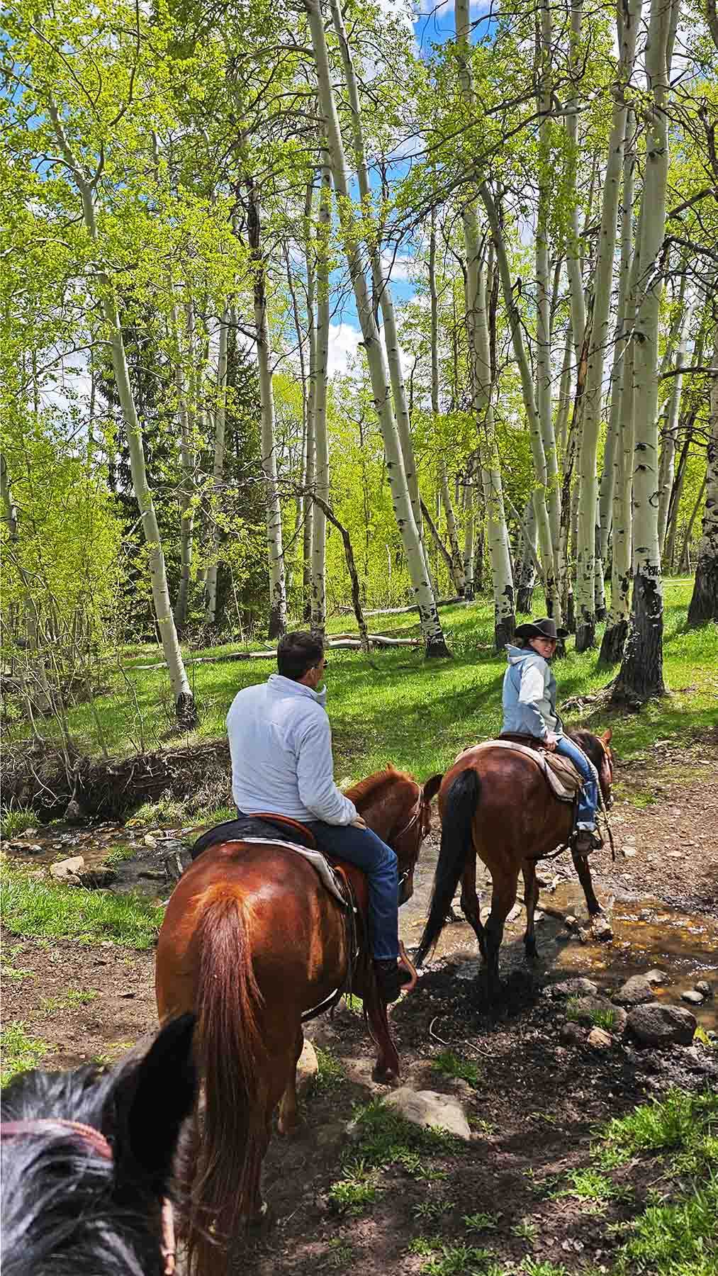 Ranch on Sweetwater property picture 79 of 102
