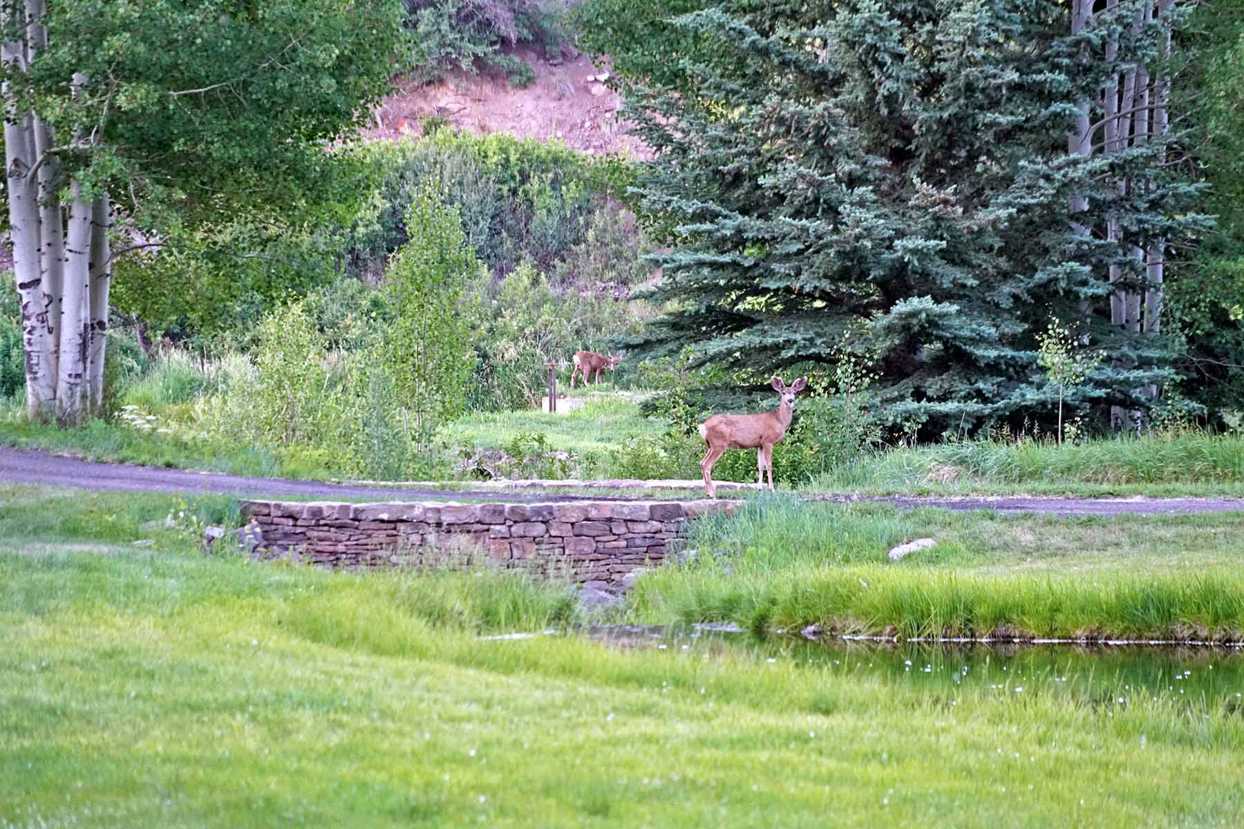 Ranch on Sweetwater property picture 83 of 88
