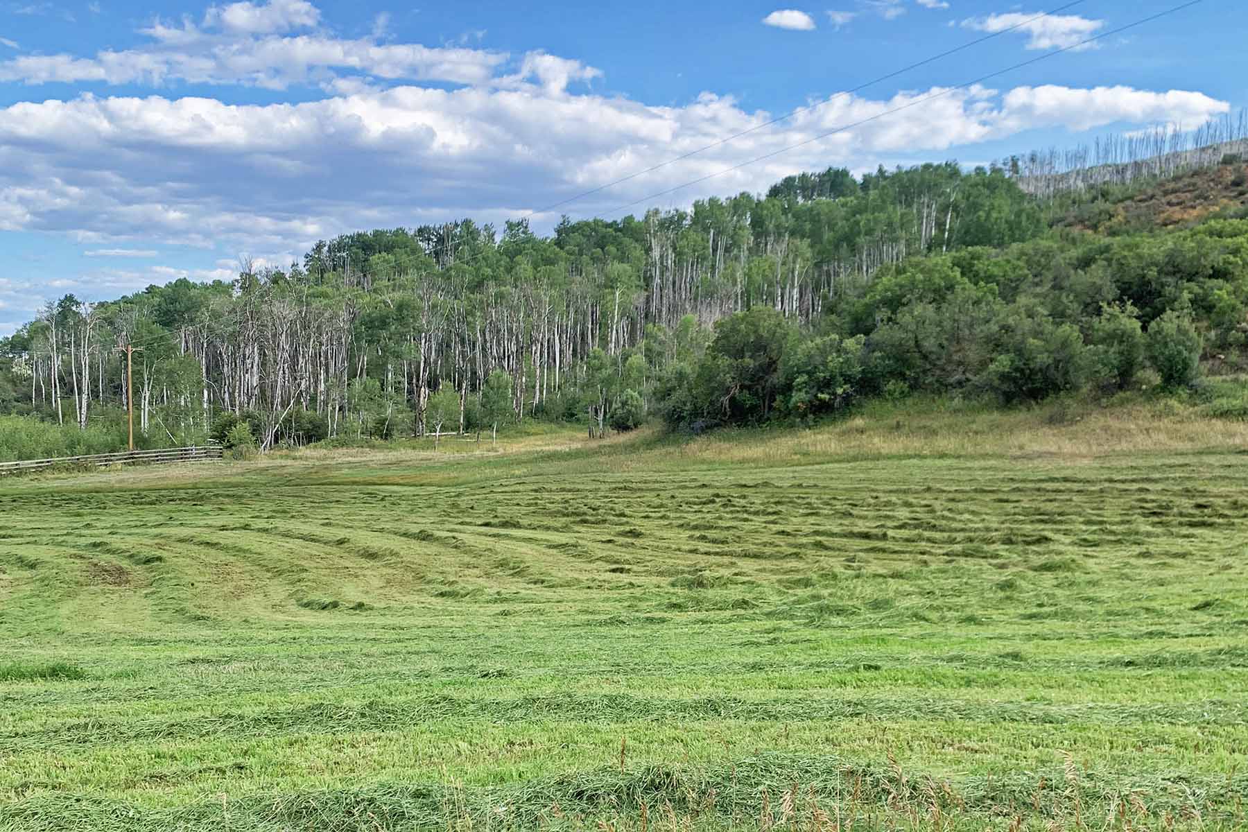 Ranch on Sweetwater property picture 69 of 88