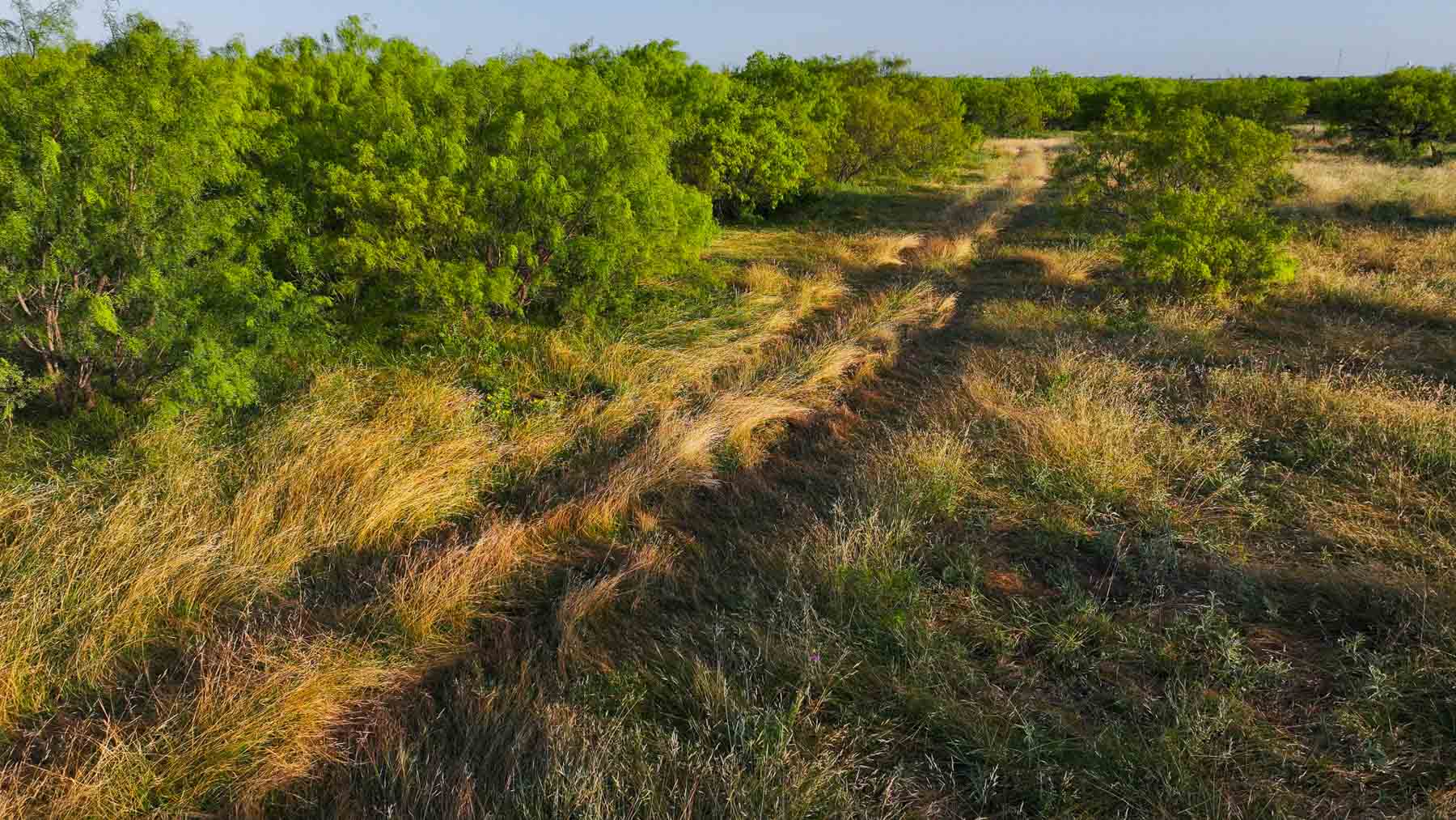 Circle G Farm property picture 25 of 35