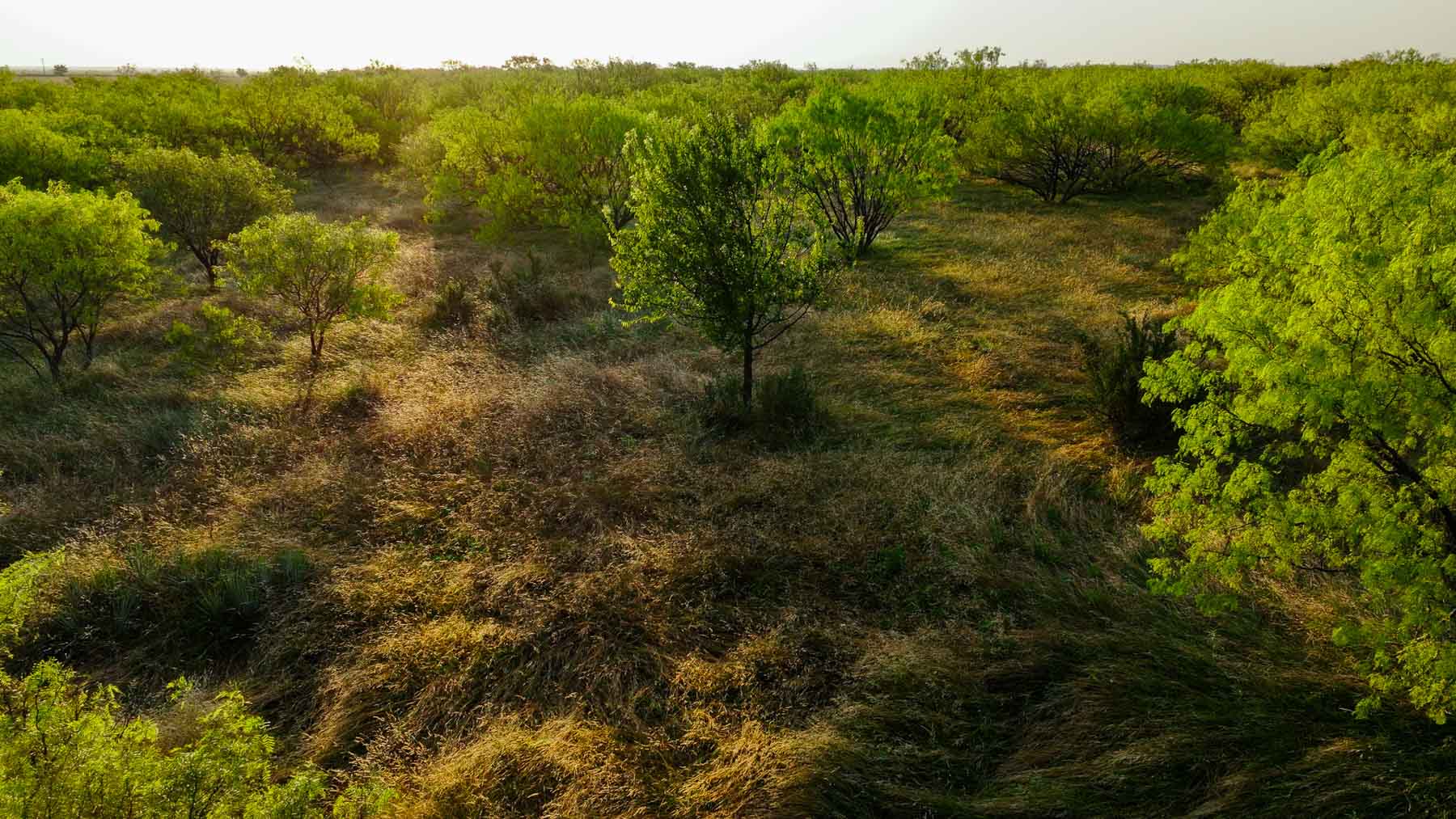 Circle G Farm property picture 11 of 35