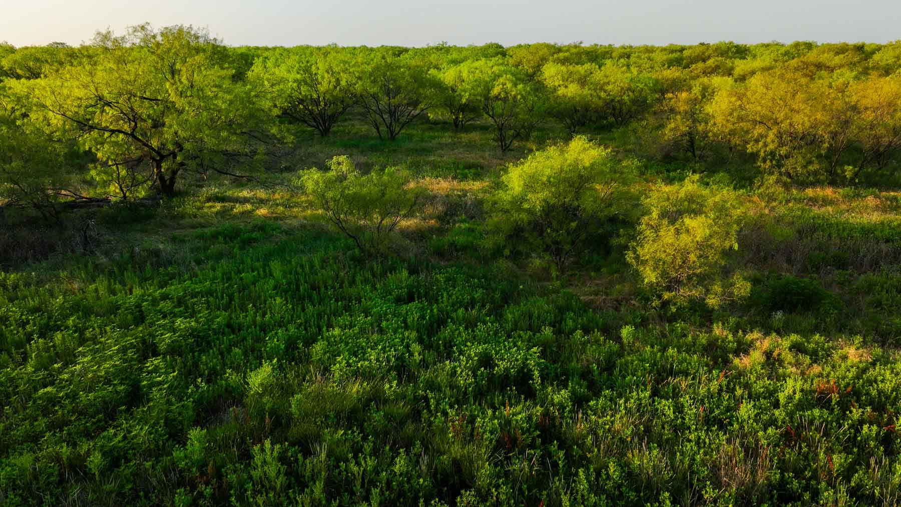 Circle G Farm property picture 14 of 35