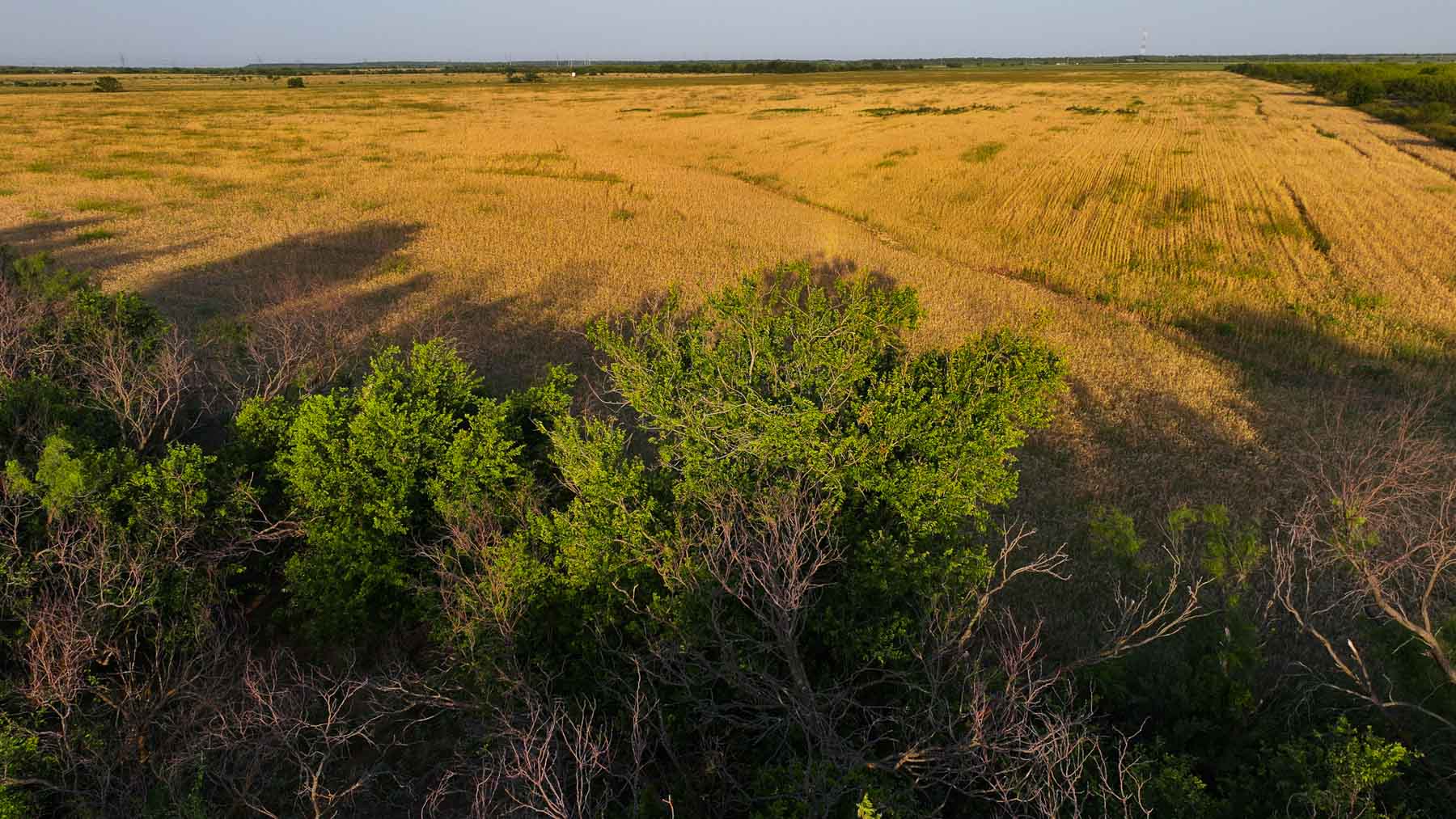 Circle G Farm property picture 18 of 35