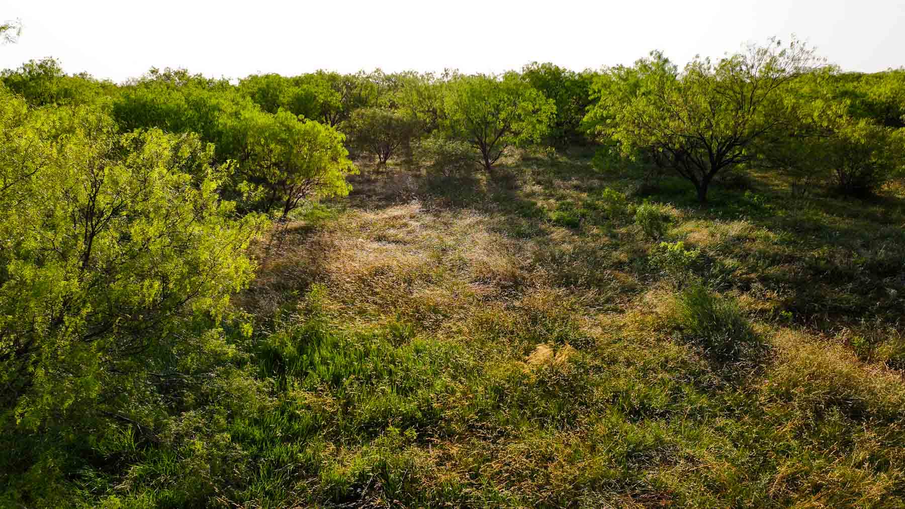 Circle G Farm property picture 26 of 35