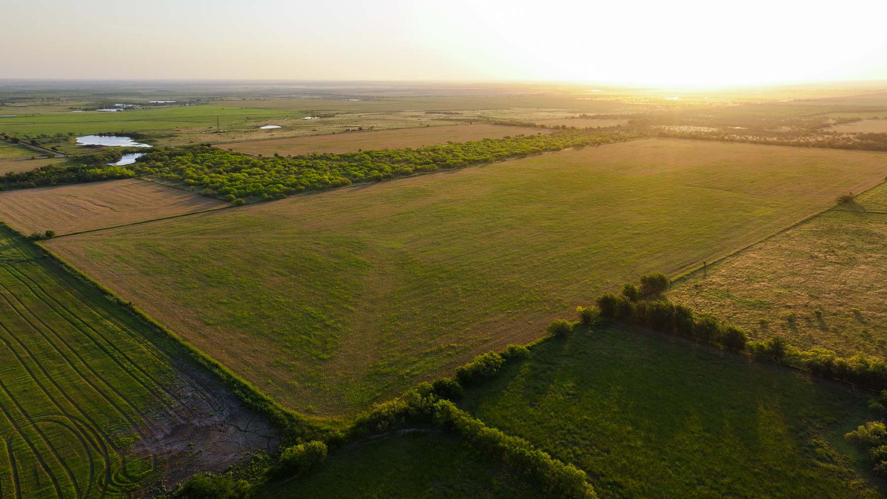 Circle G Farm property picture 8 of 35