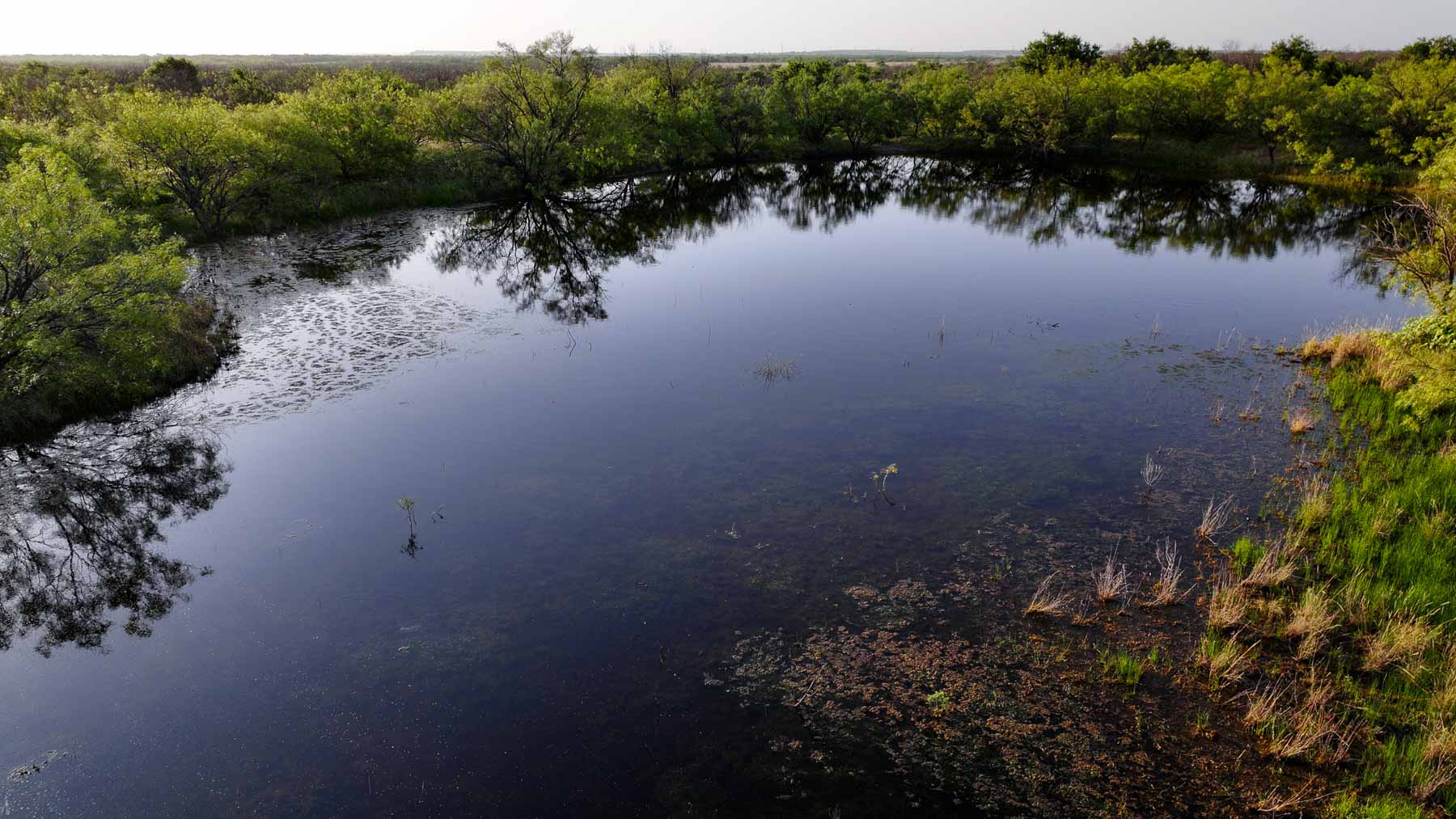 Circle G Farm property picture 34 of 35