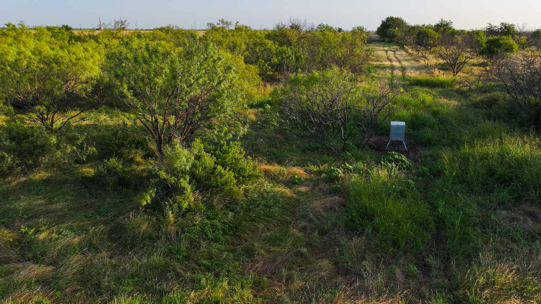 Circle G Farm property picture 19 of 35