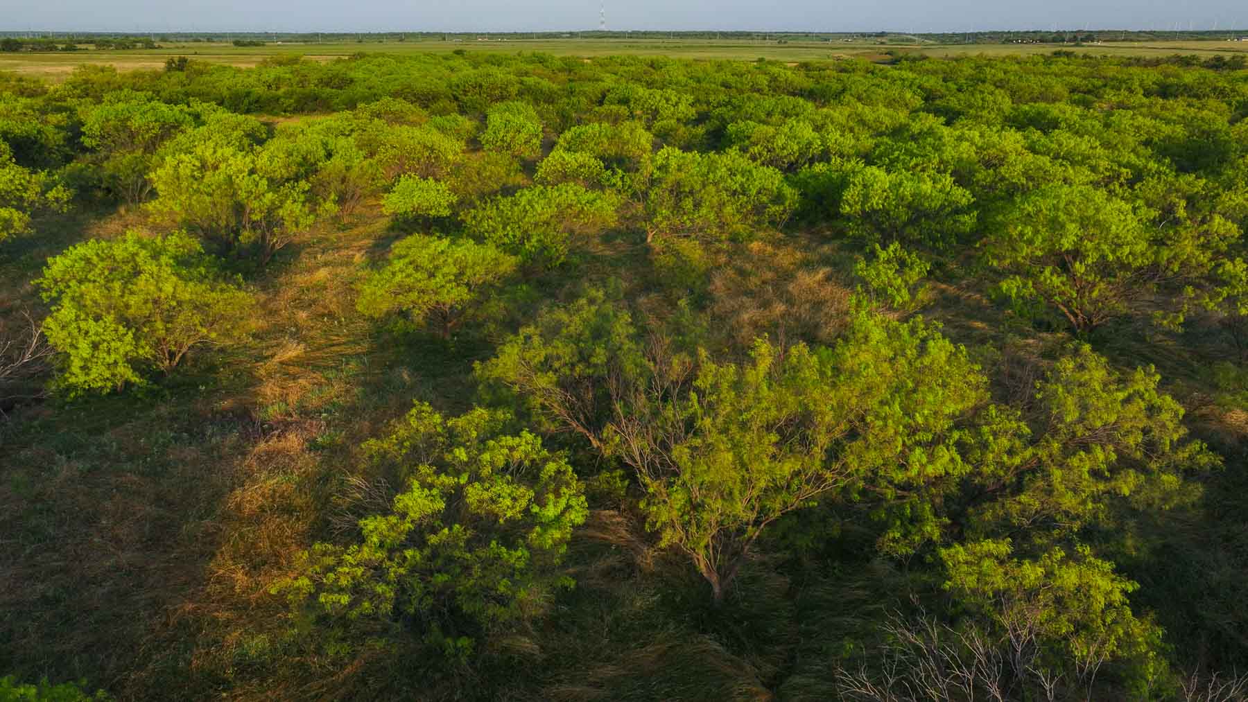 Circle G Farm property picture 13 of 35