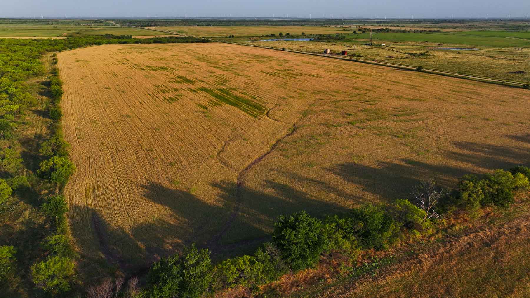 Circle G Farm property picture 5 of 35