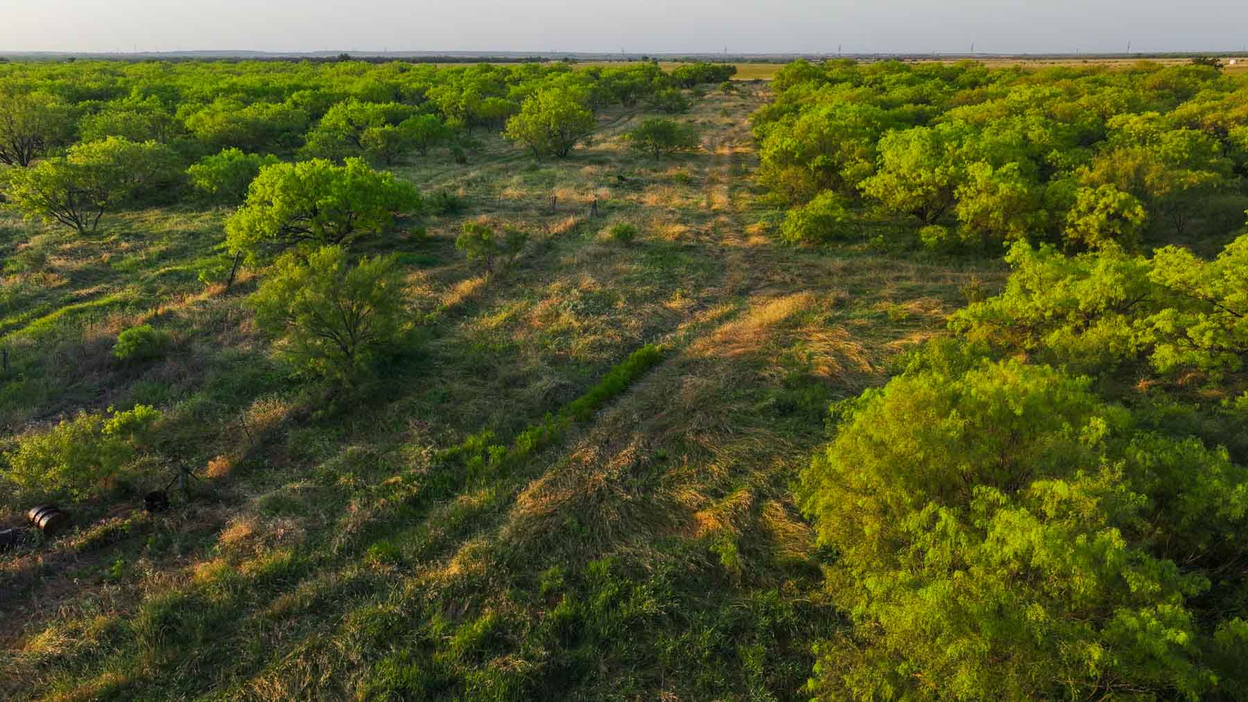 Circle G Farm property picture 7 of 35