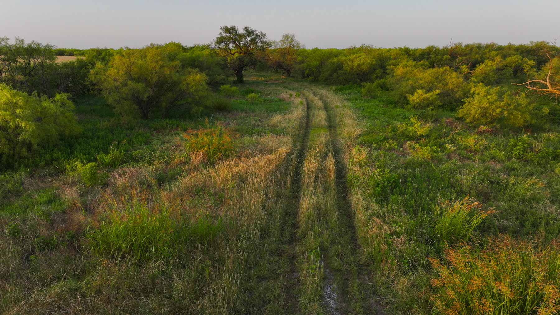 Circle G Farm property picture 4 of 35